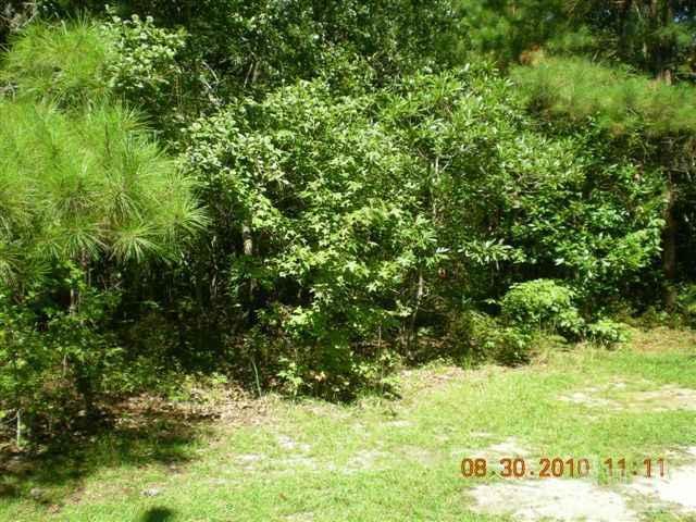 1 Stanley Road Southwest Supply, NC 28462 - Photo 3 of 4 Additional Photo