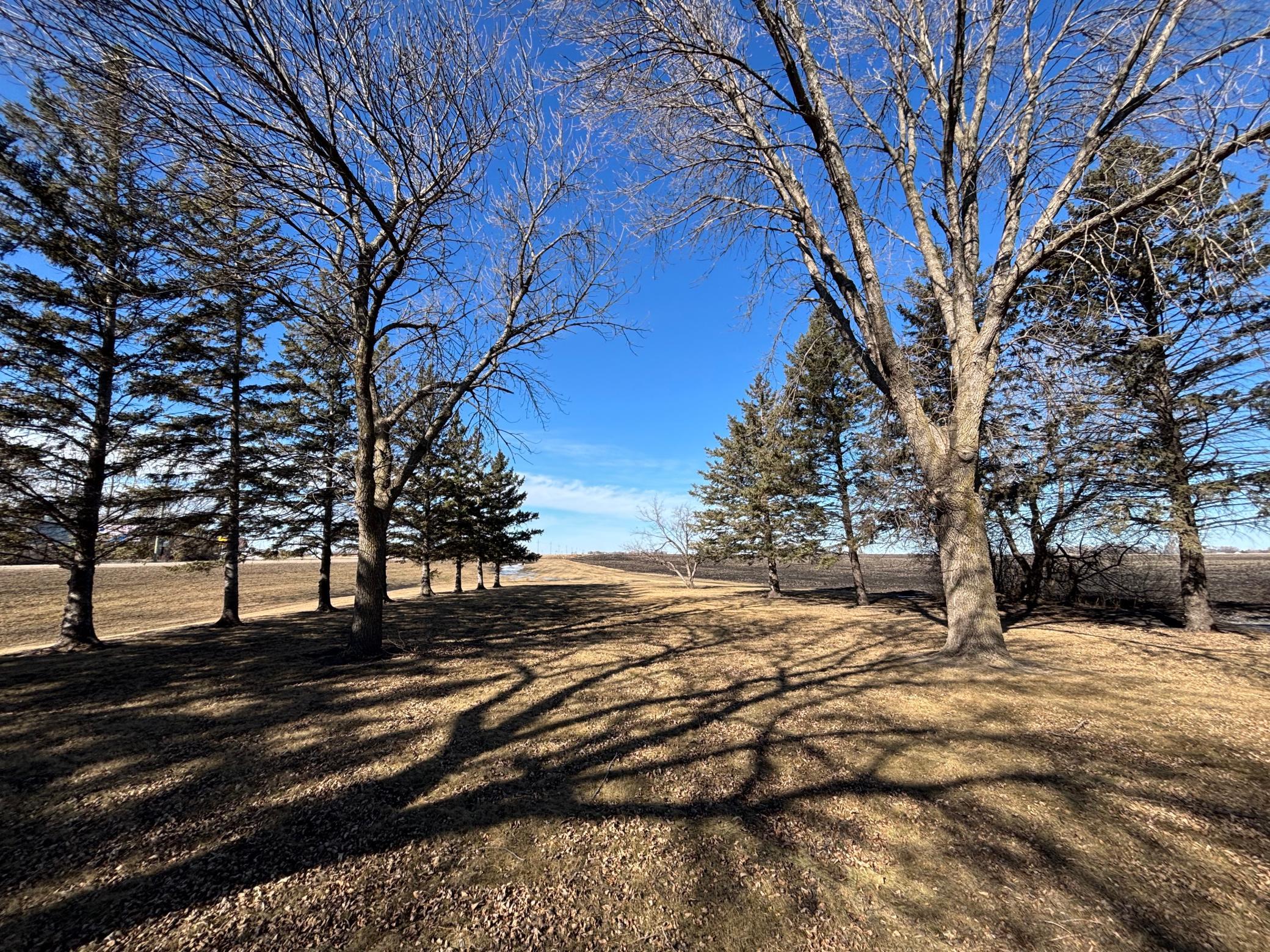 27703 County Road 1 Hancock, MN 56244 - Photo 6 of 36