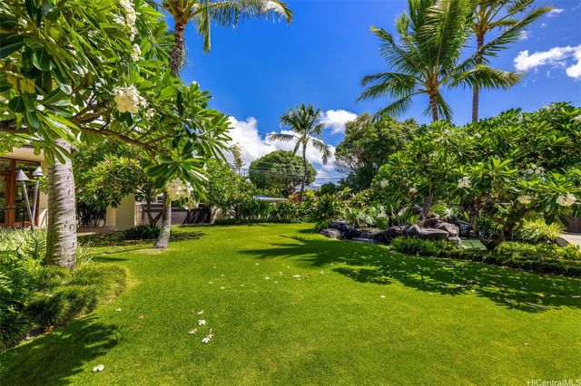 a view of a garden with a tree