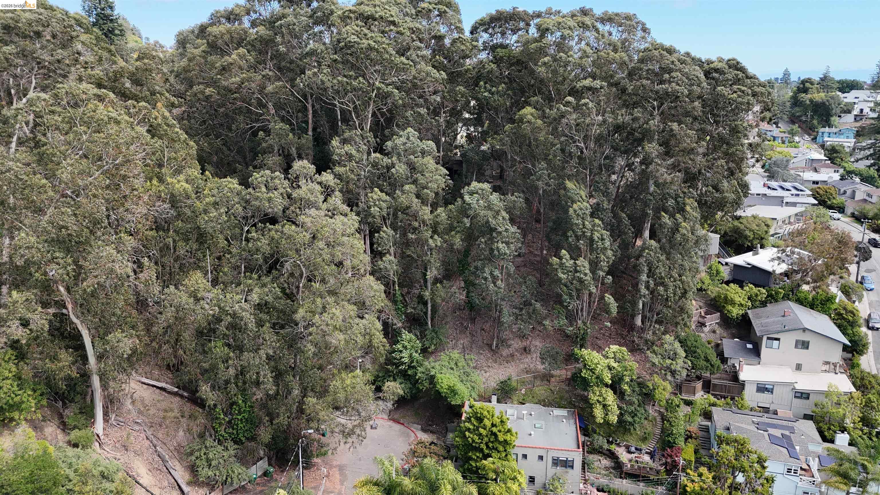 195 Oak Road Piedmont, CA 94610 - Photo 11 of 12