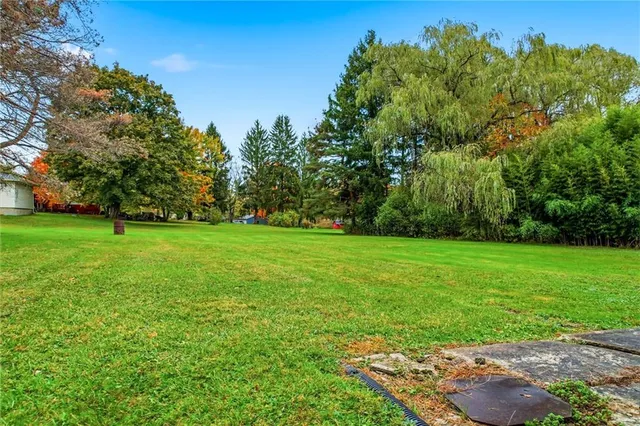 a view of swimming pool with a yard