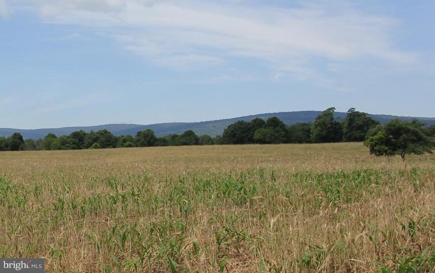 9841 Bartgis Road Frederick, MD 21702 - Photo 2 of 24 Gorgeous farm and mountain views