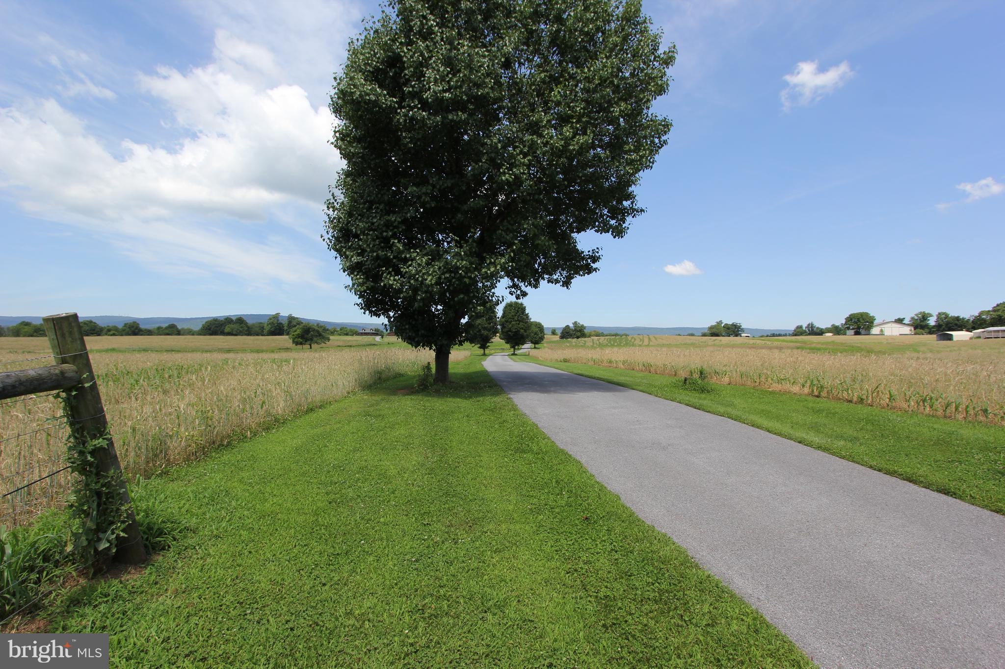 9841 Bartgis Road Frederick, MD 21702 - Photo 21 of 24 Fabulous views of the farm and mountains