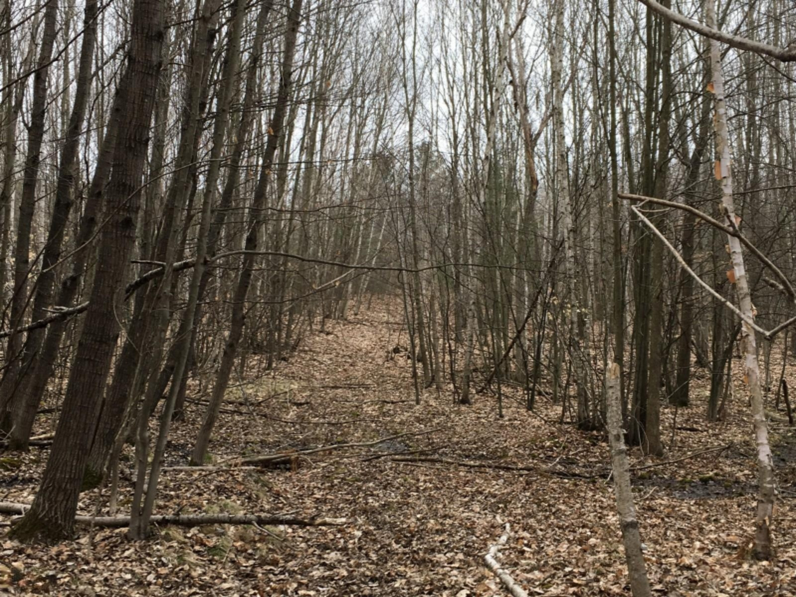 21 Mile Rd Road Barryton, MI 49305 - Photo 16 of 18 IMG_1372
