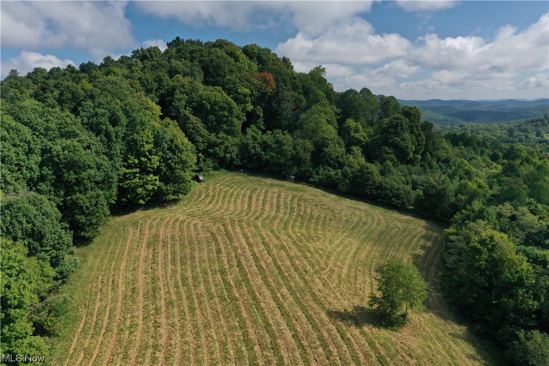 1 Salisbury Road Ivydale, WV 25113 - Photo 2 of 23
