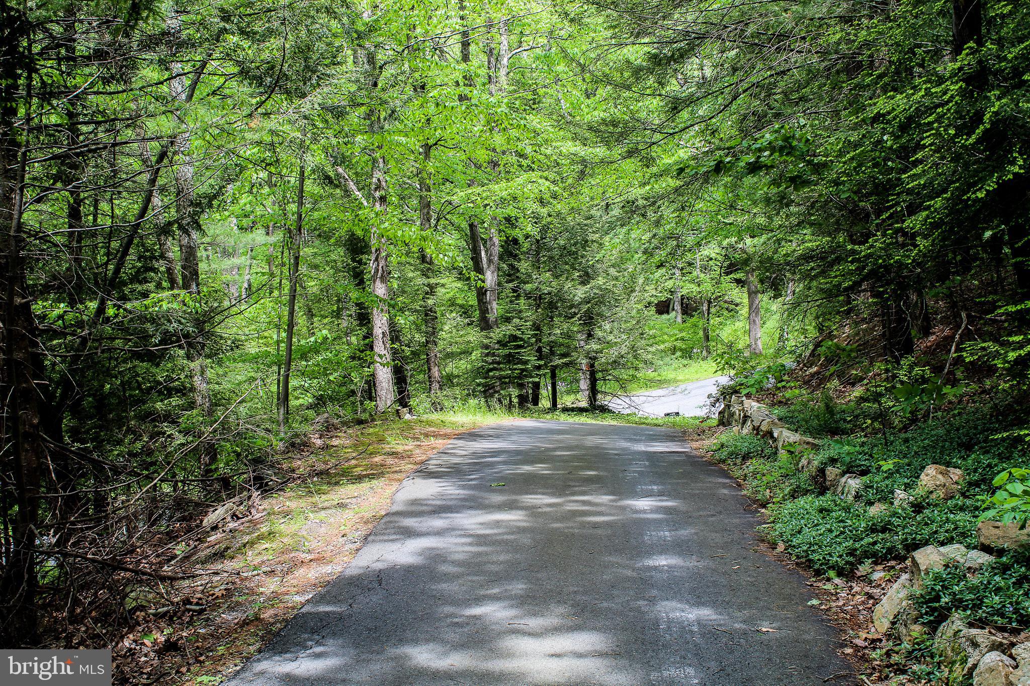 3157 Ben Salem Road Andreas, PA 18211 - Photo 40 of 41 View from house down driveway.