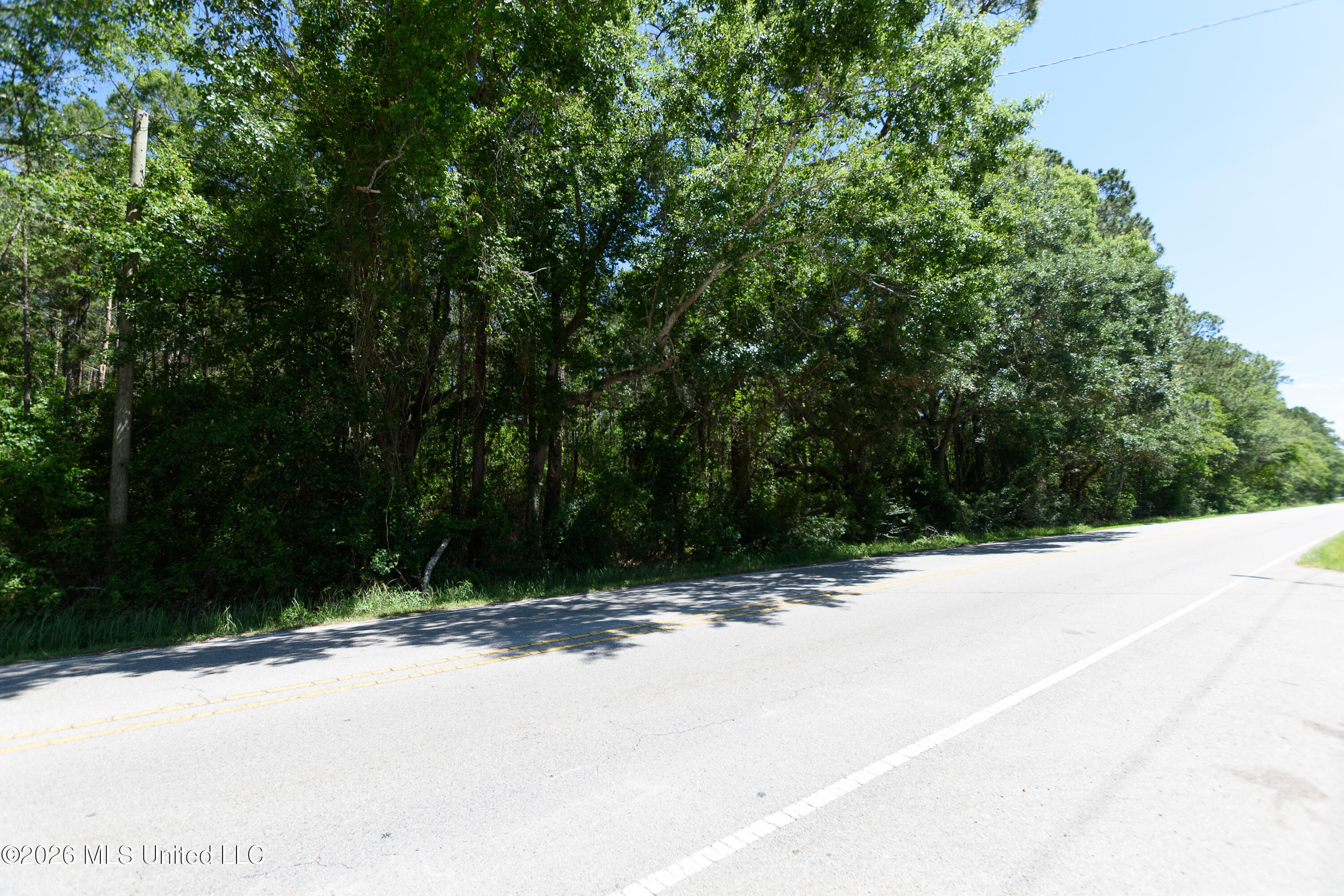East Saracennia Road Moss Point, MS 39563 - Photo 3 of 6 DSC_0014