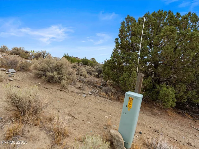 a view of a tree with sky view