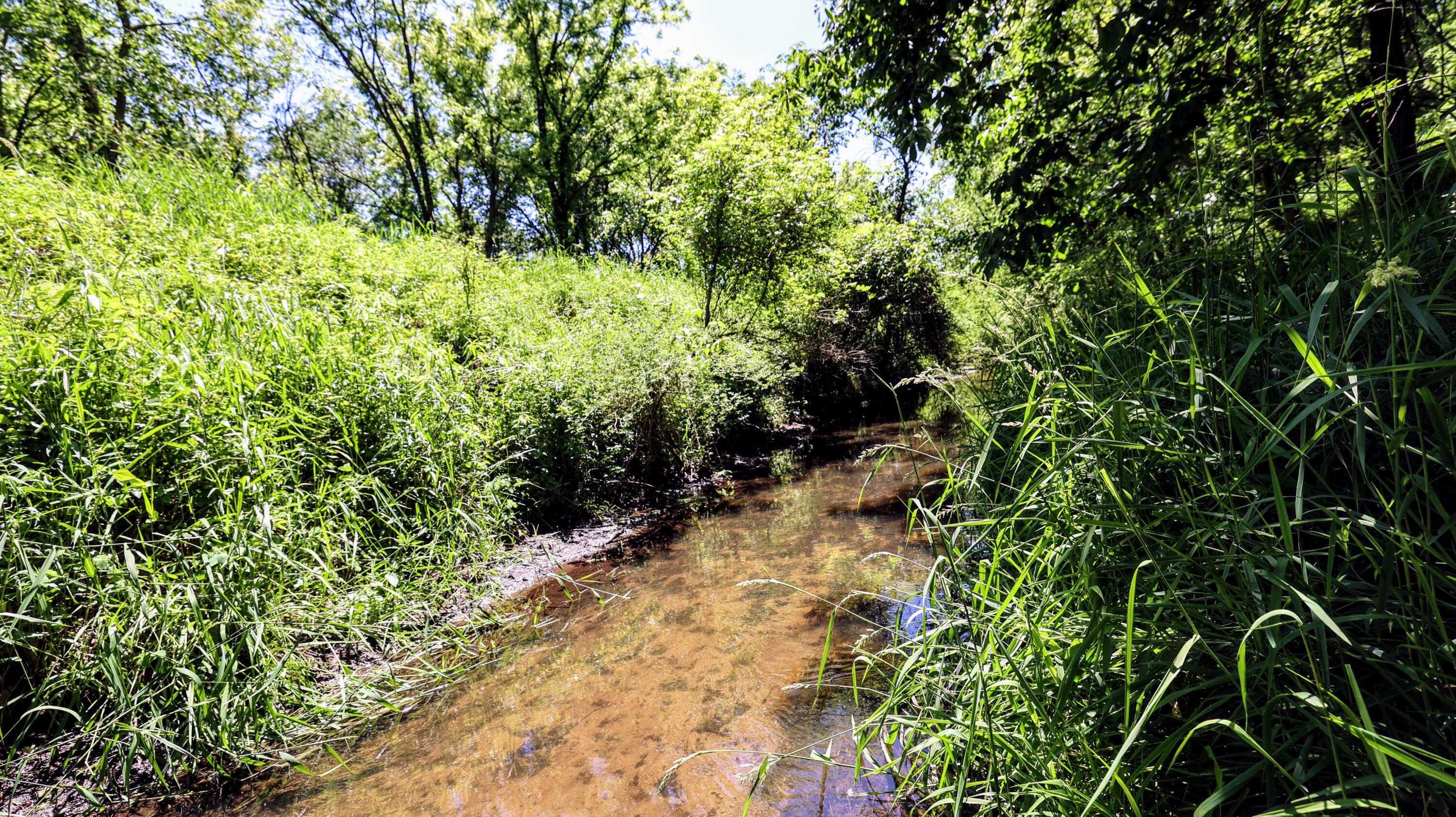 Vl Block Road Coldwater, MI 49036 - Photo 12 of 62 12