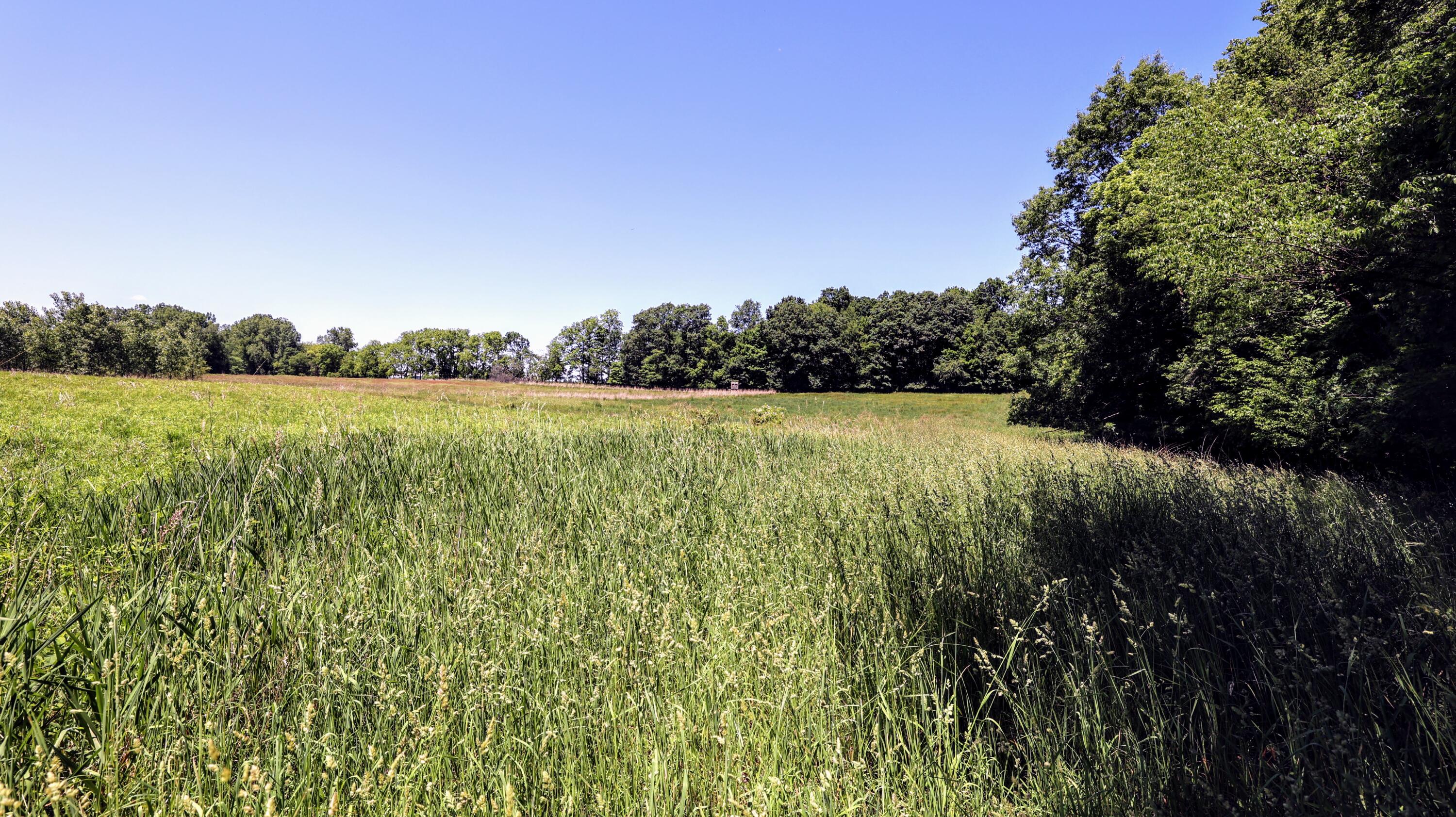Vl Block Road Coldwater, MI 49036 - Photo 25 of 62 25