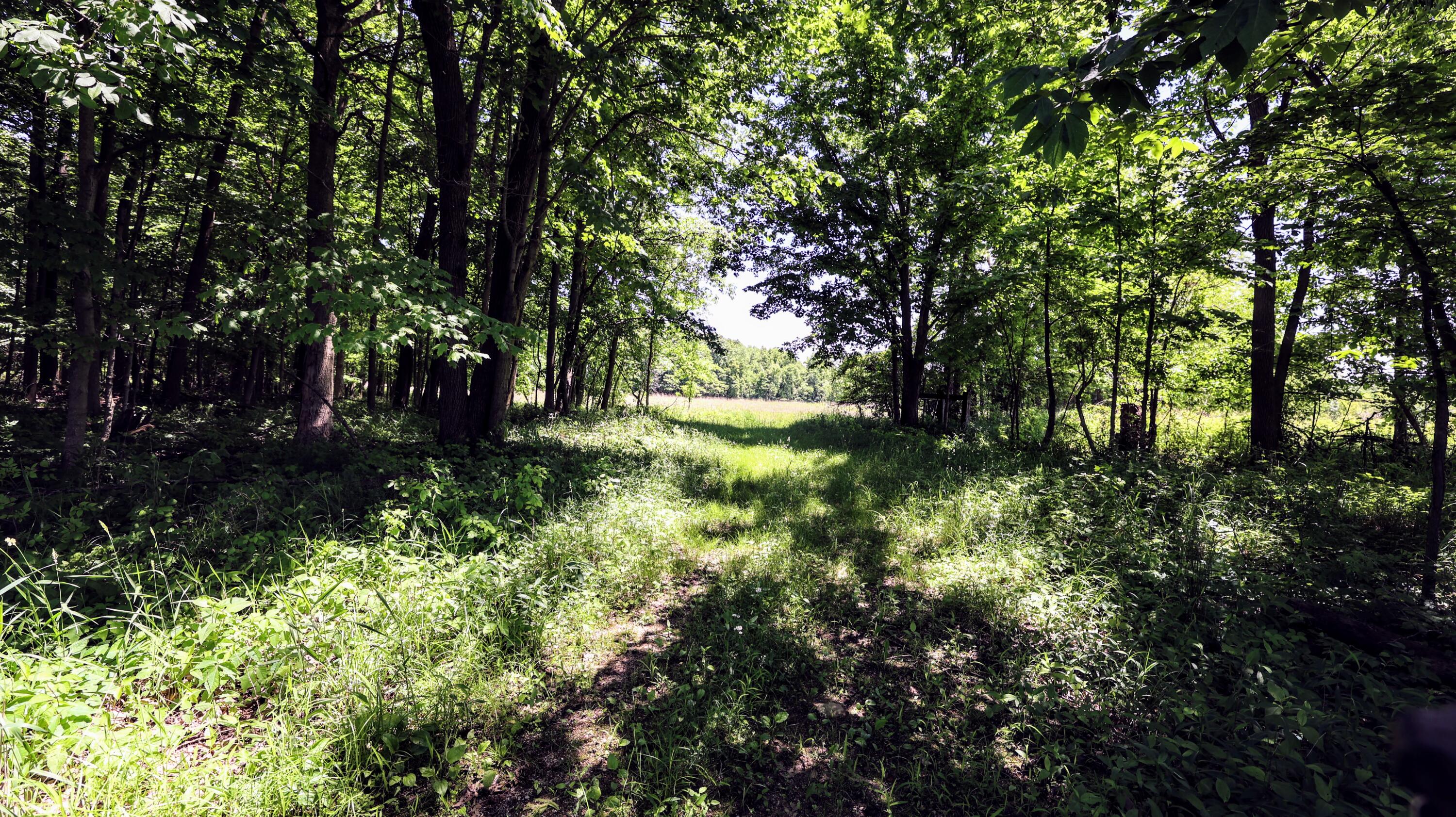 Vl Block Road Coldwater, MI 49036 - Photo 27 of 62 27
