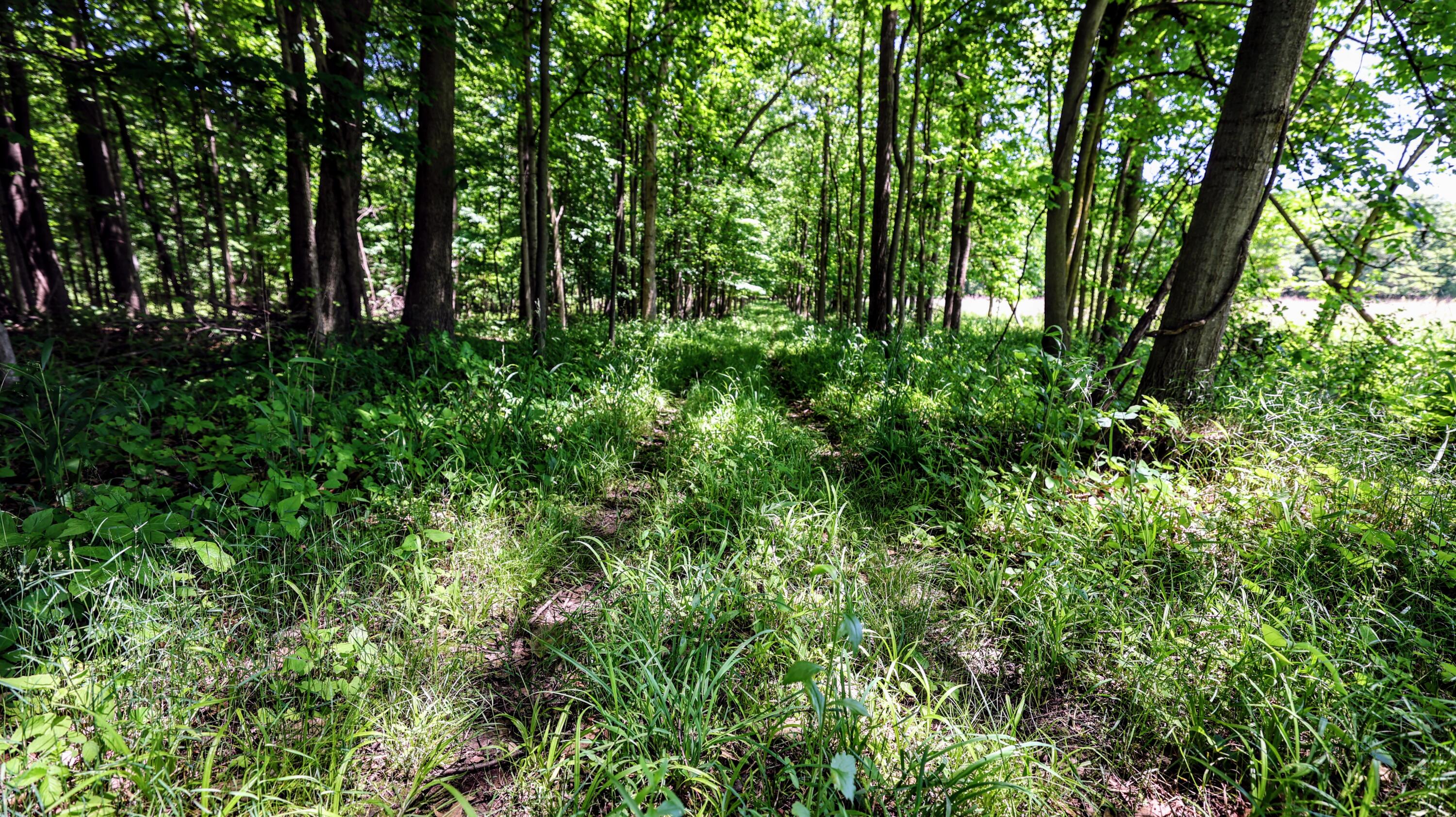 Vl Block Road Coldwater, MI 49036 - Photo 29 of 62 29