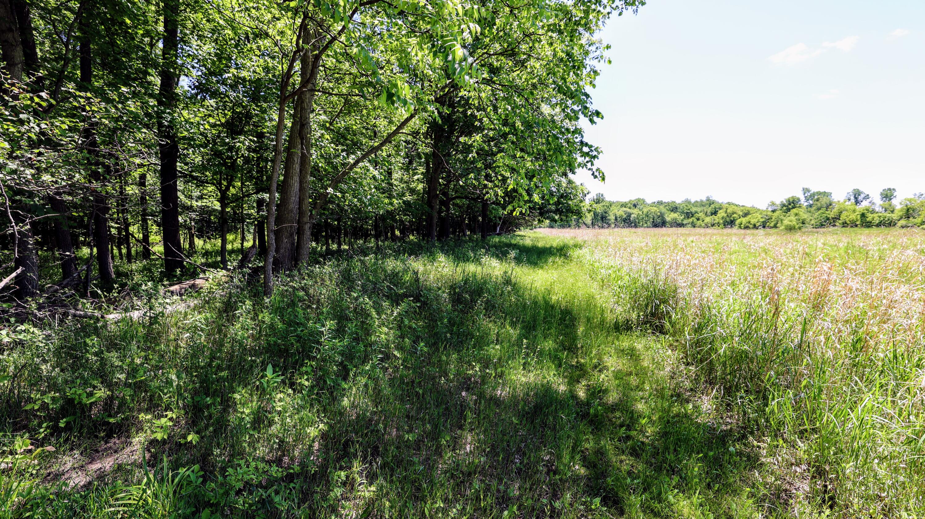 Vl Block Road Coldwater, MI 49036 - Photo 31 of 62 31