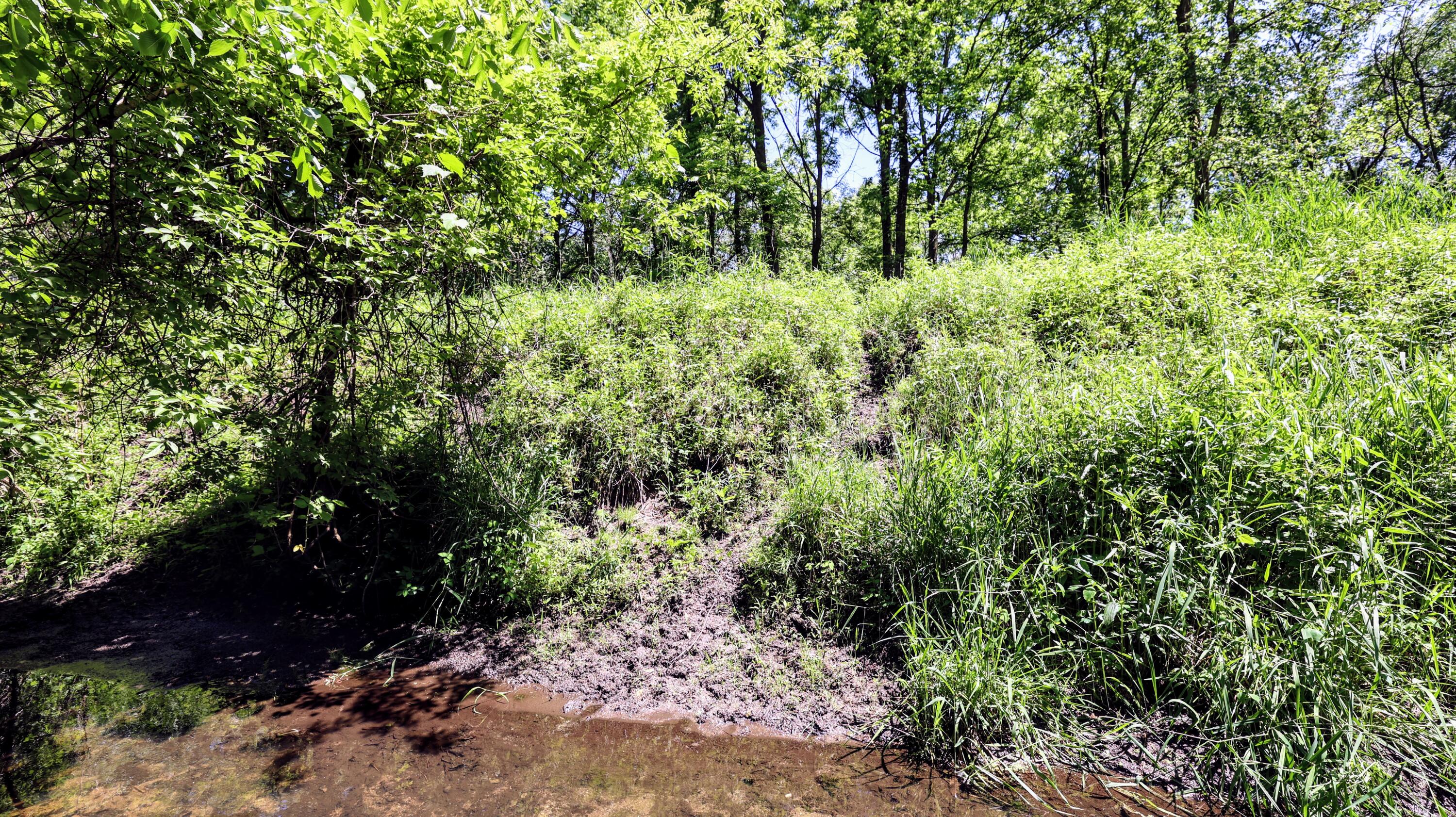 Vl Block Road Coldwater, MI 49036 - Photo 4 of 62 4