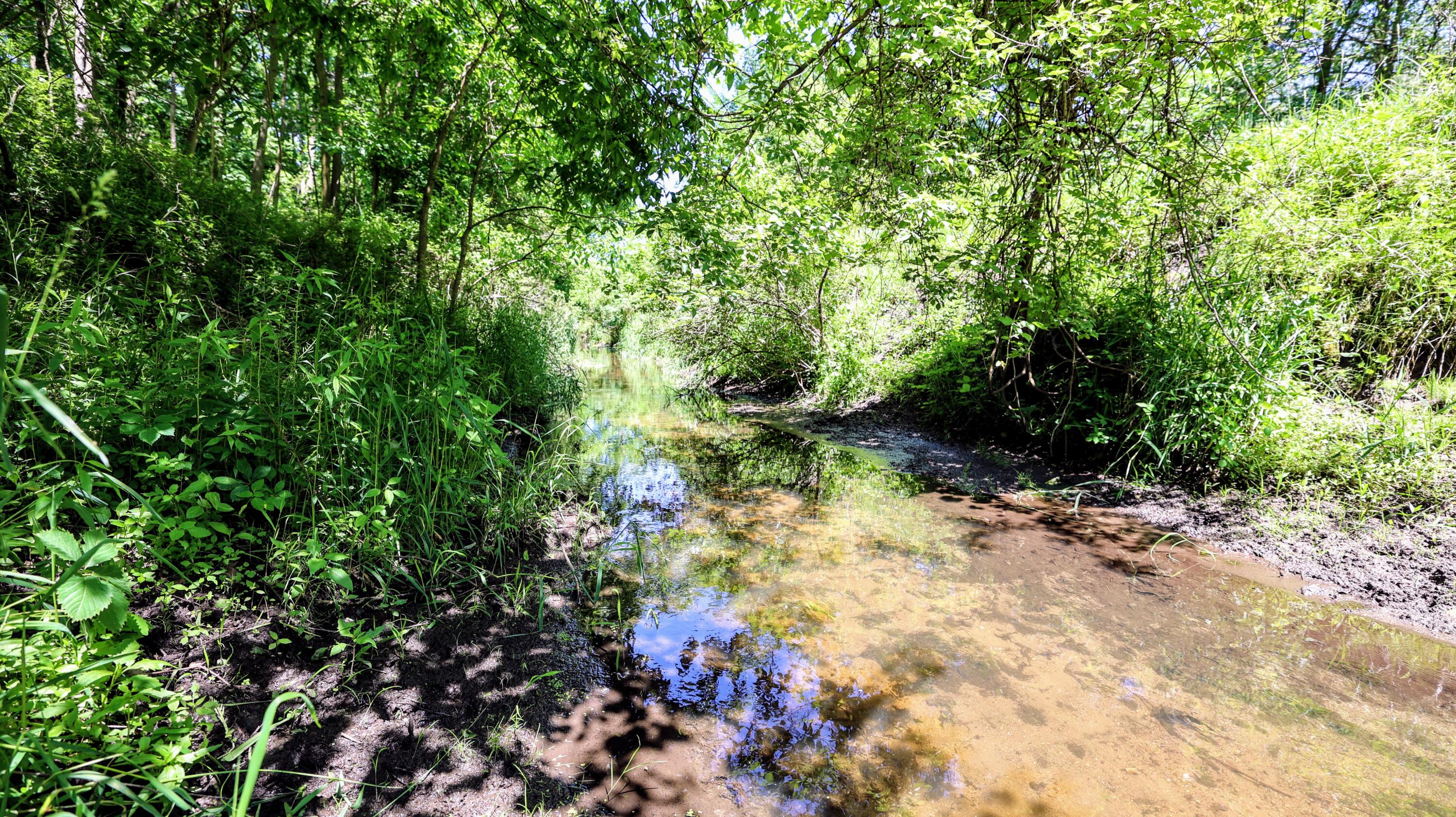 Vl Block Road Coldwater, MI 49036 - Photo 45 of 62 45