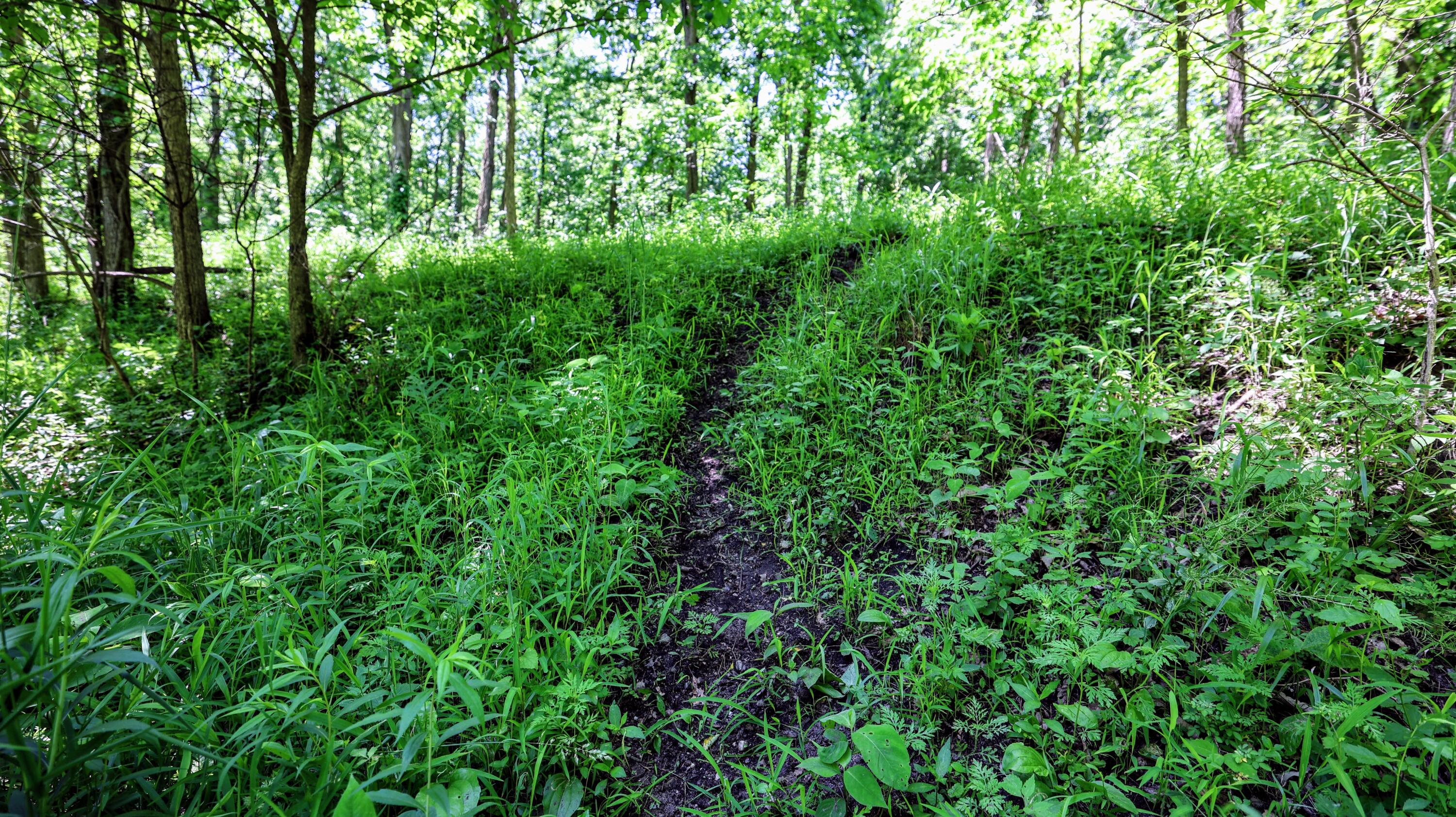 Vl Block Road Coldwater, MI 49036 - Photo 46 of 62 46