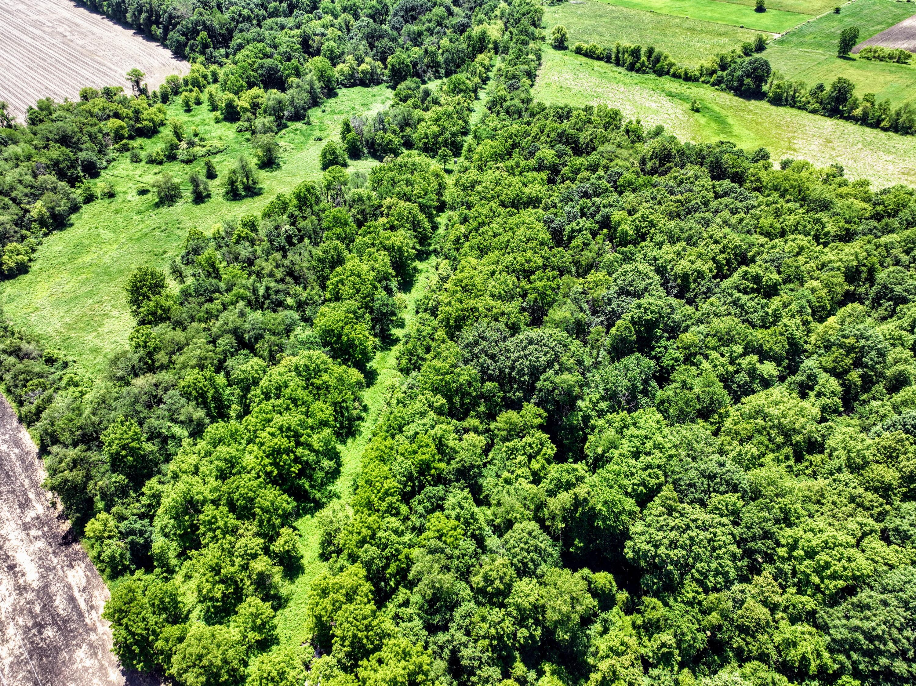 Vl Block Road Coldwater, MI 49036 - Photo 49 of 62 49