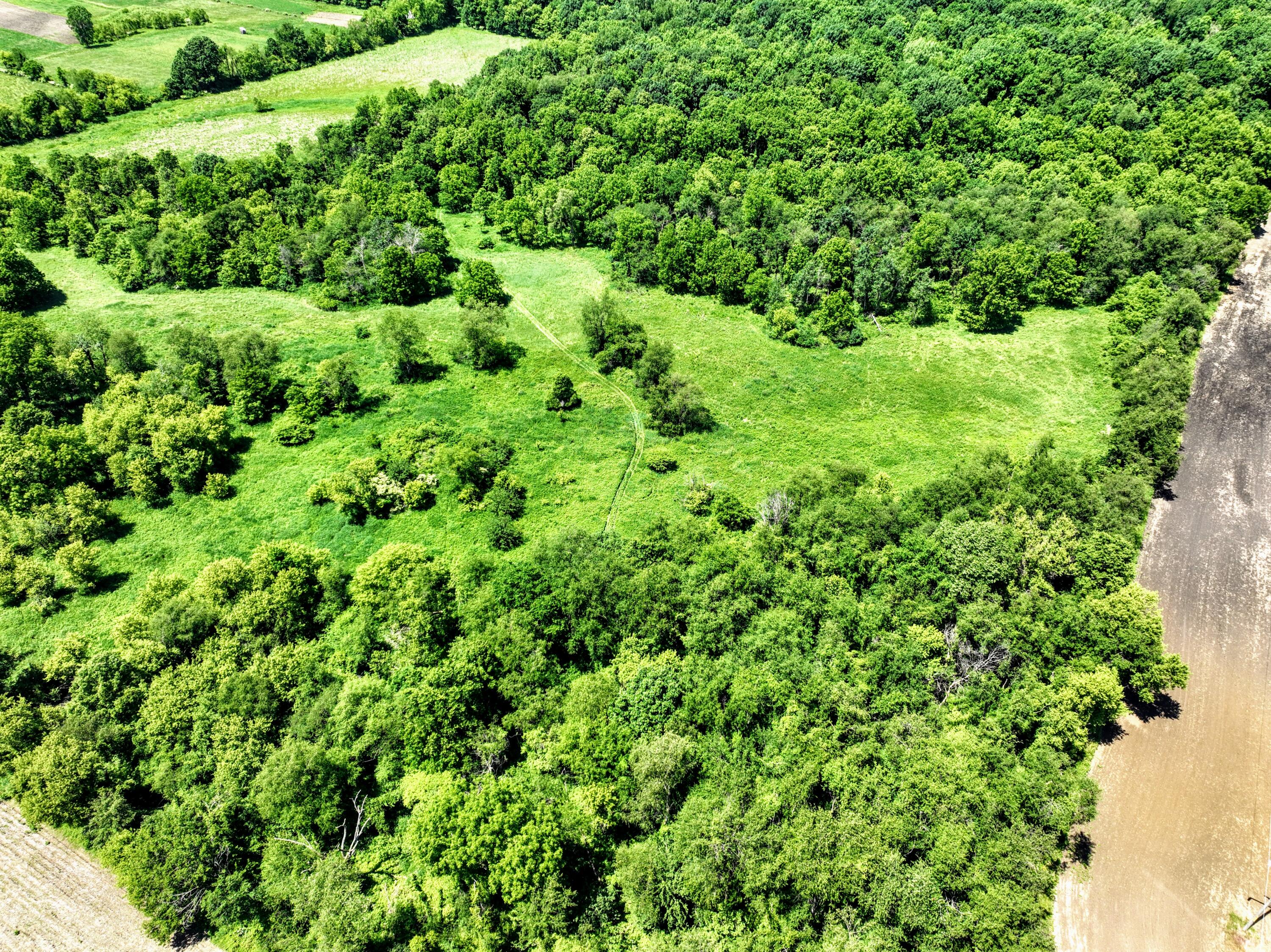 Vl Block Road Coldwater, MI 49036 - Photo 51 of 62 51