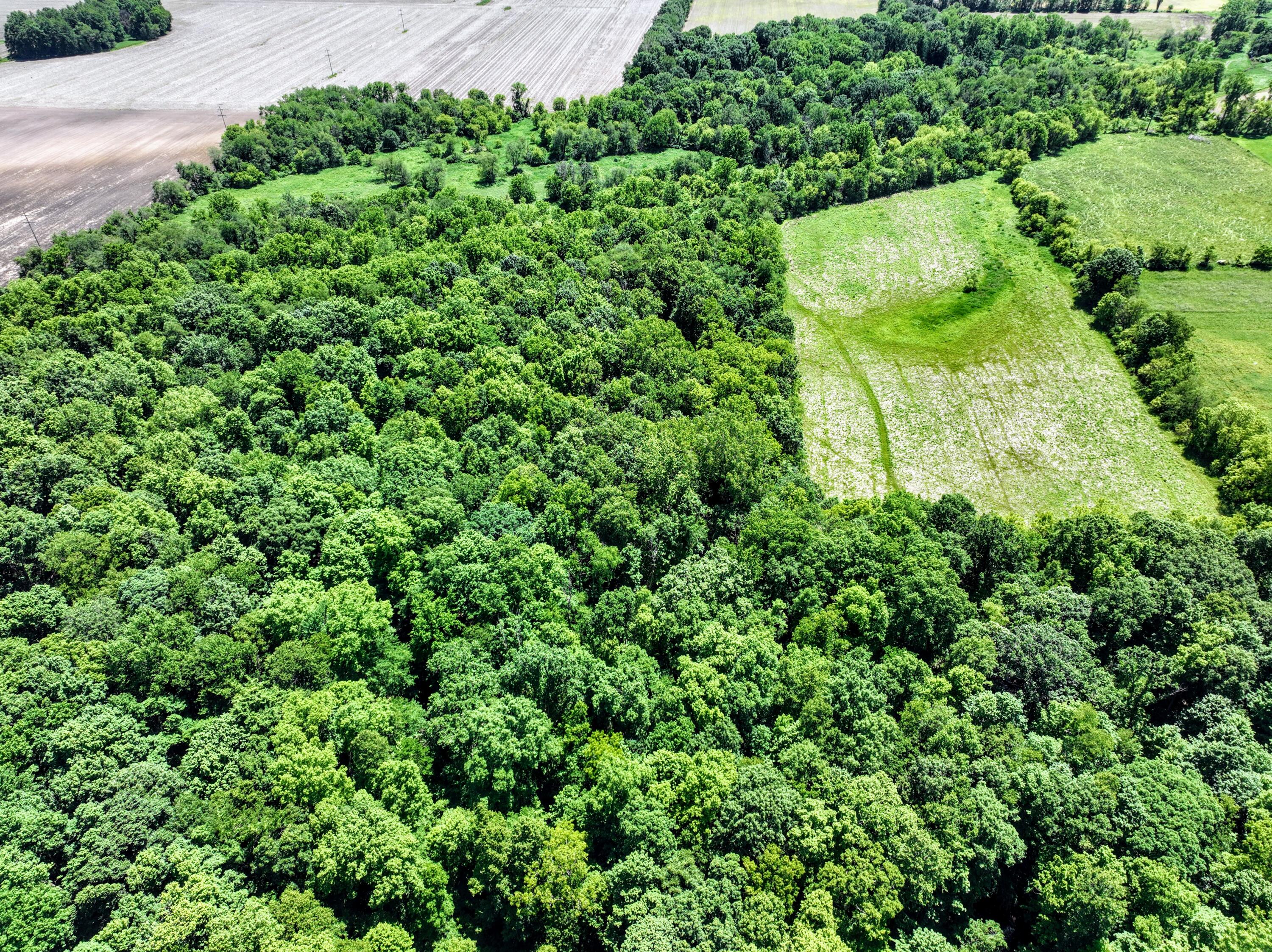 Vl Block Road Coldwater, MI 49036 - Photo 56 of 62 57