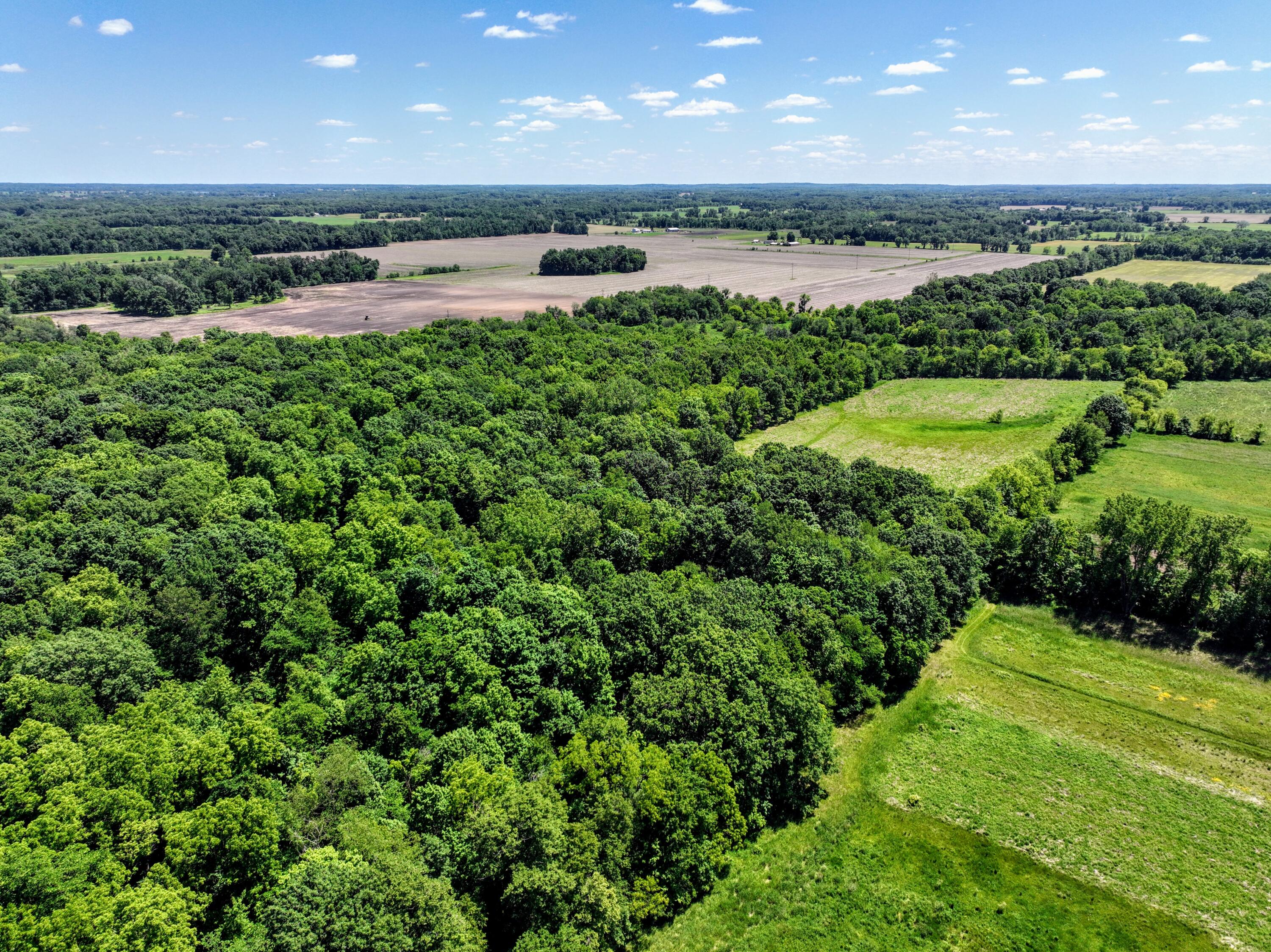 Vl Block Road Coldwater, MI 49036 - Photo 6 of 62 6.5