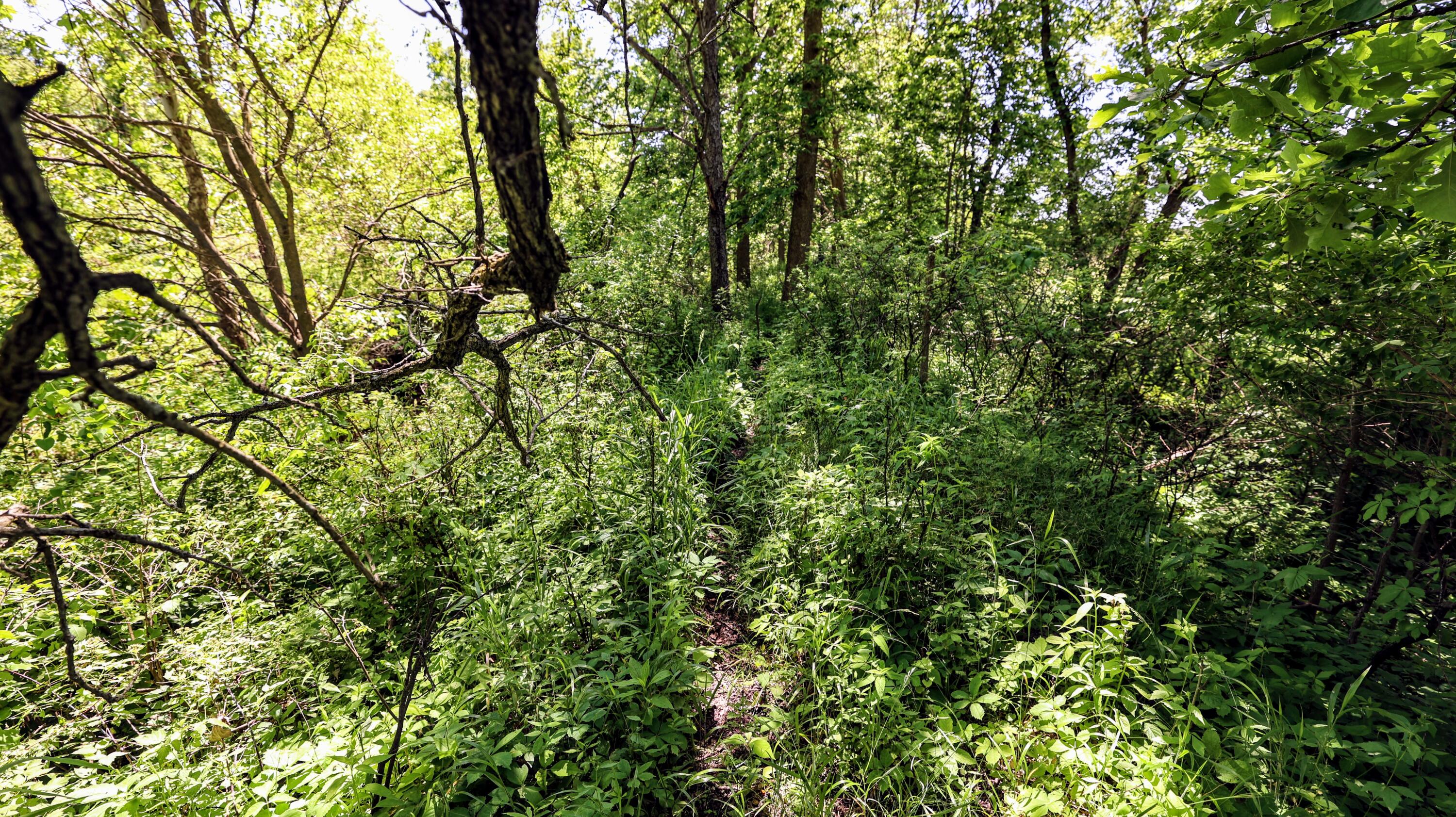 Vl Block Road Coldwater, MI 49036 - Photo 62 of 62 63