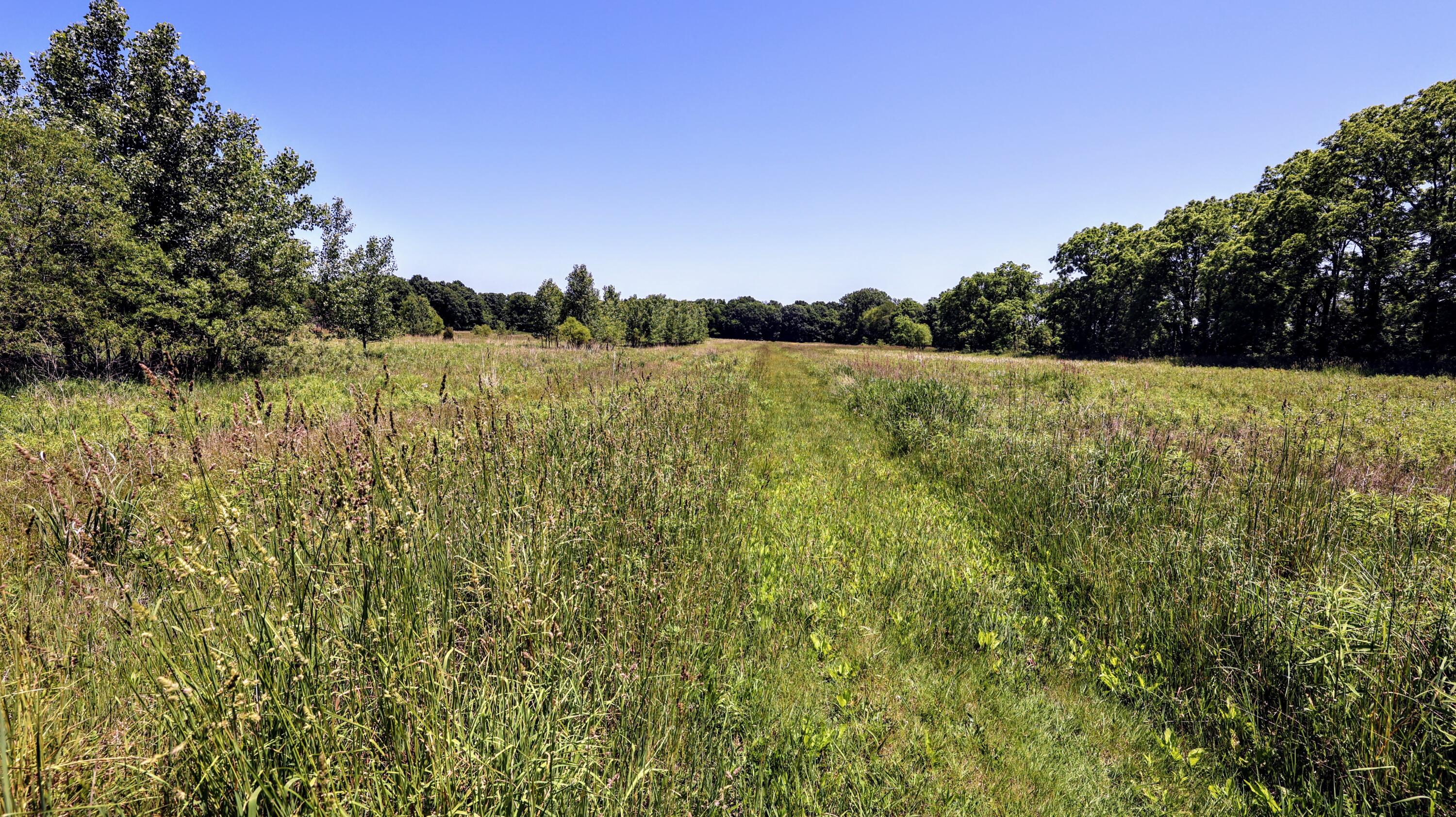 Vl Block Road Coldwater, MI 49036 - Photo 8 of 62 7