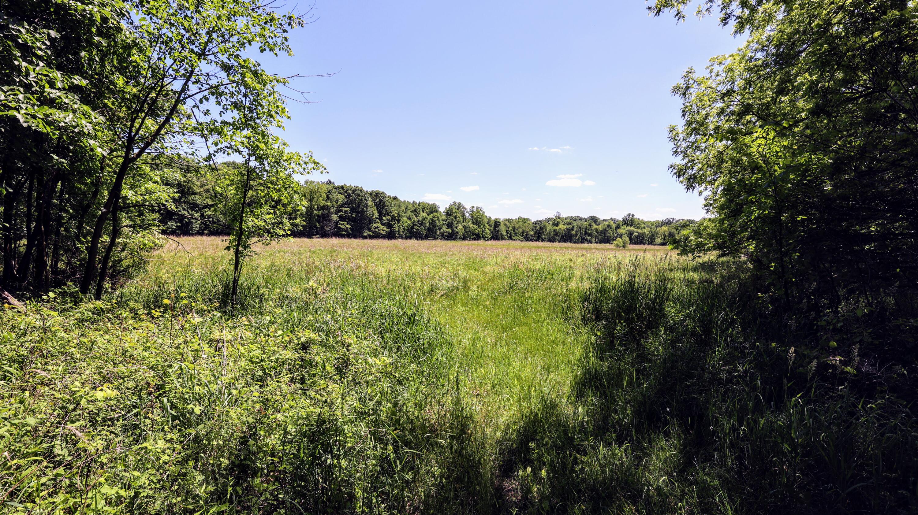 Vl Block Road Coldwater, MI 49036 - Photo 10 of 62 10
