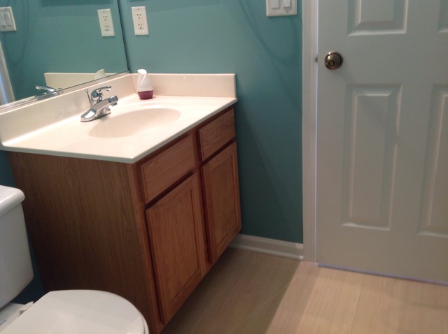 347 Reston Circle Romeoville, IL 60446 - Photo 12 of 22