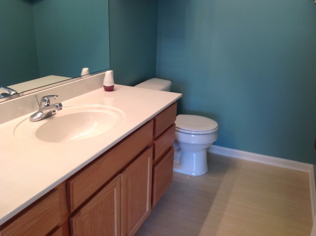 347 Reston Circle Romeoville, IL 60446 - Photo 14 of 22