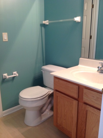 347 Reston Circle Romeoville, IL 60446 - Photo 15 of 22
