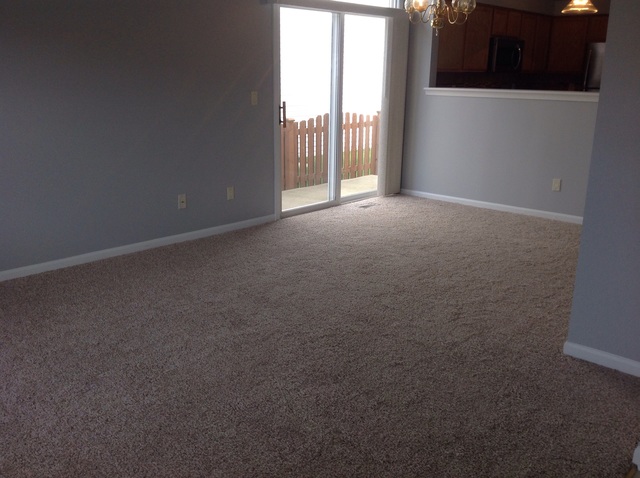 347 Reston Circle Romeoville, IL 60446 - Photo 3 of 22