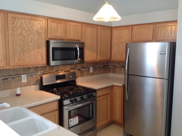 347 Reston Circle Romeoville, IL 60446 - Photo 7 of 22