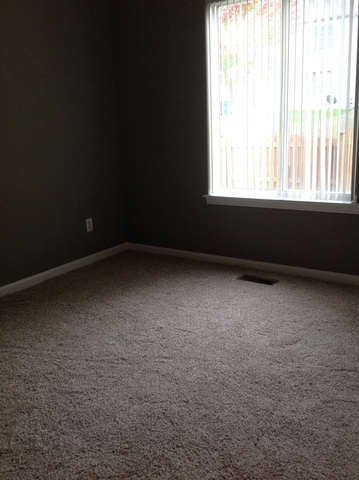 347 Reston Circle Romeoville, IL 60446 - Photo 9 of 22