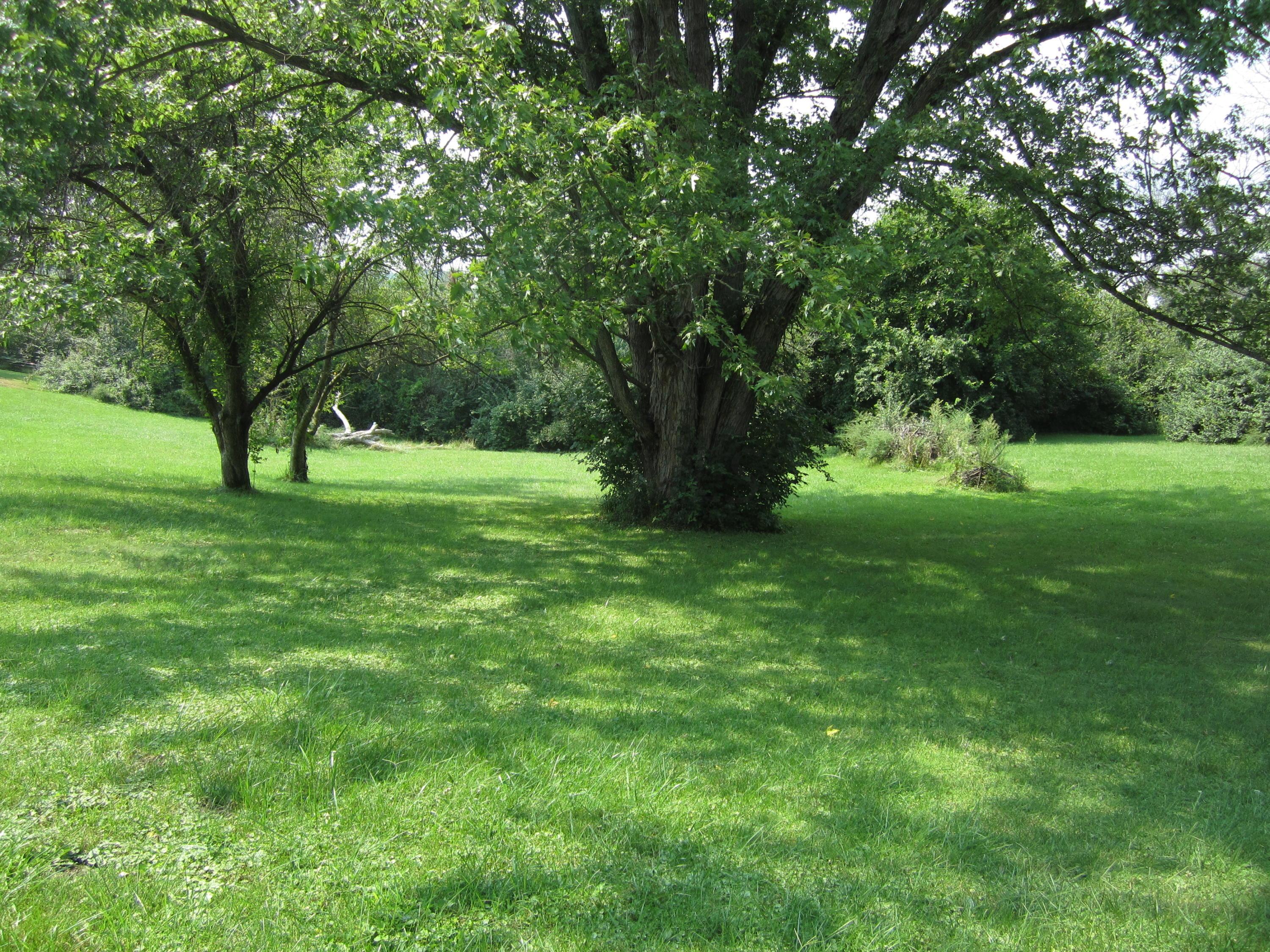 6281 Lambert Road Orient, OH 43146 - Photo 3 of 11 Gallery Image 3
