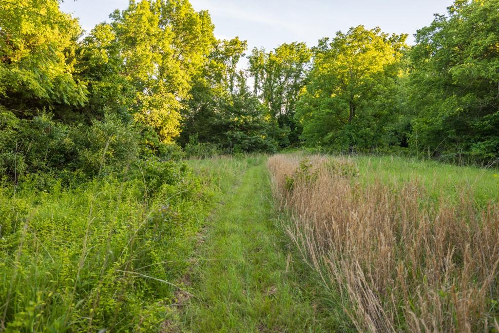 521 Southwest 301st Road Warrensburg, MO 64093 - Photo 57 of 80