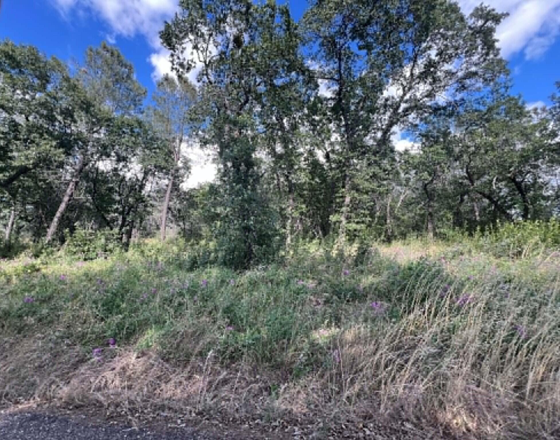0 Manton School Road Manton, CA 96059 - Photo 11 of 13 K