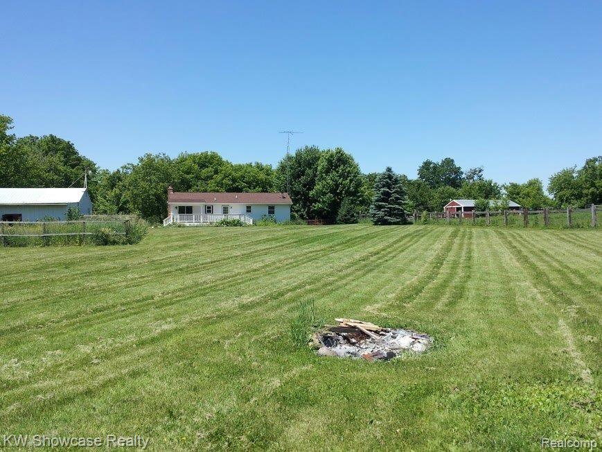 13495 Vernon Road Byron, MI 48418 - Photo 6 of 13 Back Yard - 5 Acres