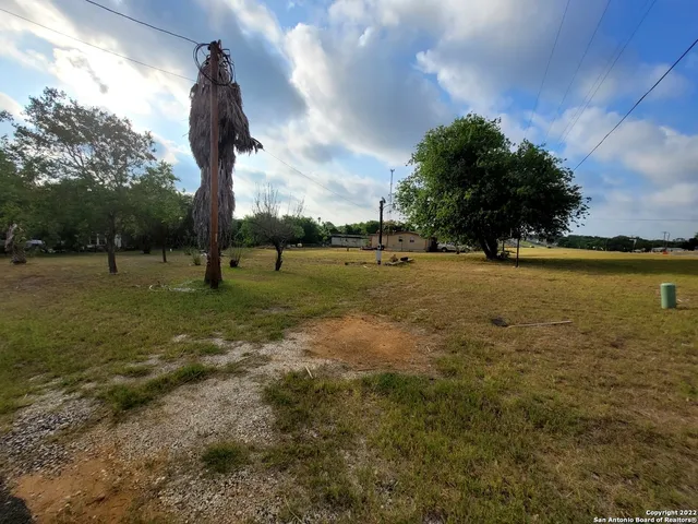 a view of large trees with a yard