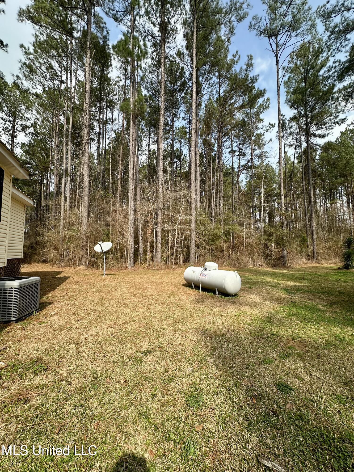 2062-2063 Lazy Creek Road Summit, MS 39666 - Photo 23 of 61 IMG_4659