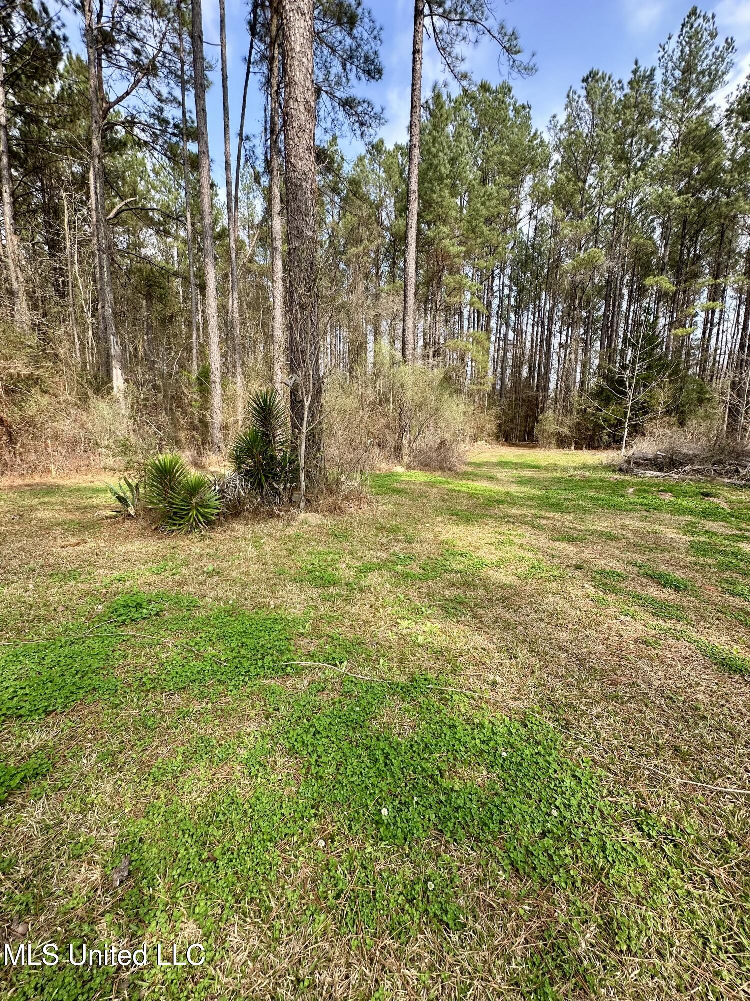 2062-2063 Lazy Creek Road Summit, MS 39666 - Photo 26 of 61 IMG_4662