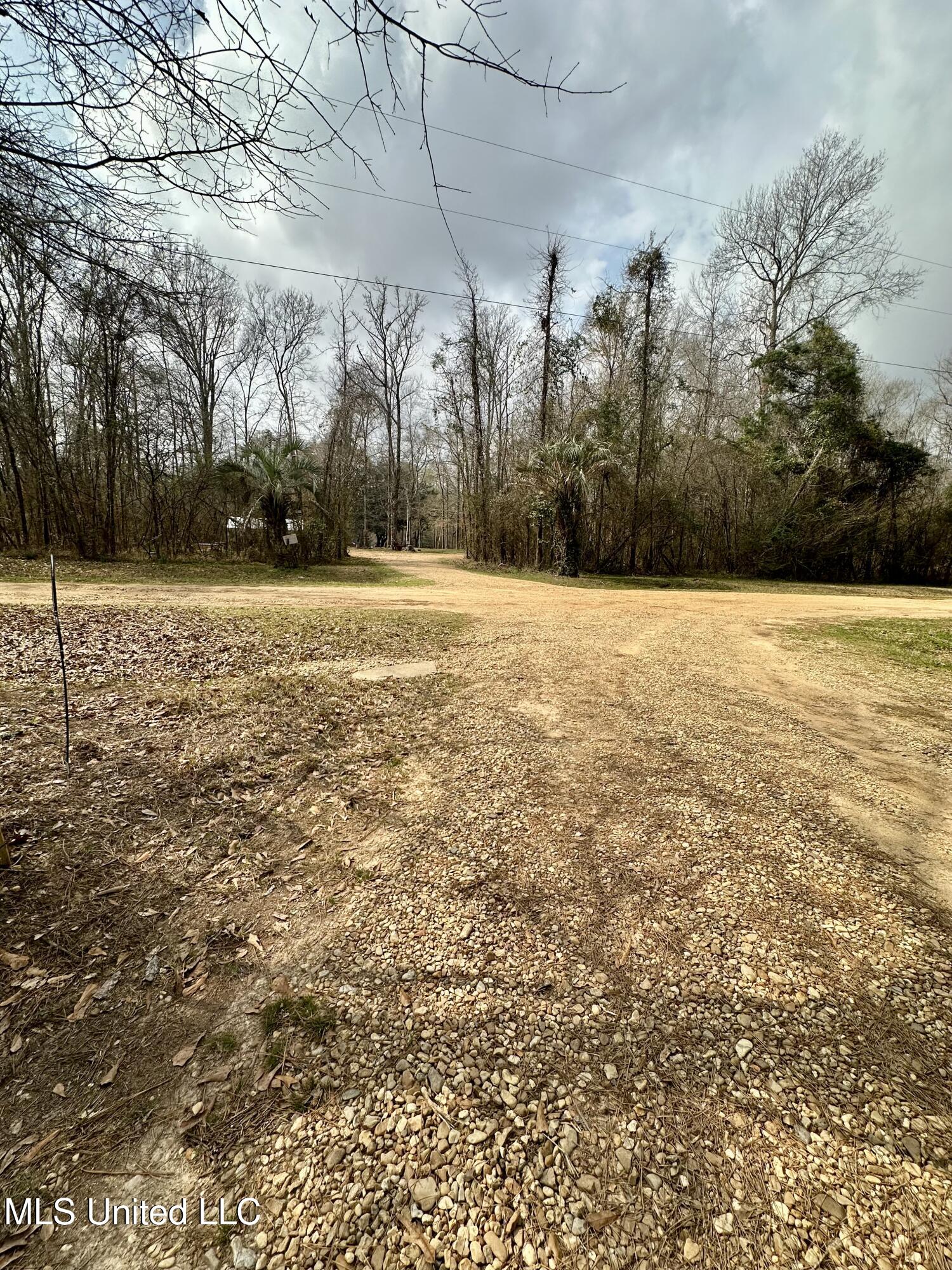 2062-2063 Lazy Creek Road Summit, MS 39666 - Photo 27 of 61 IMG_4663