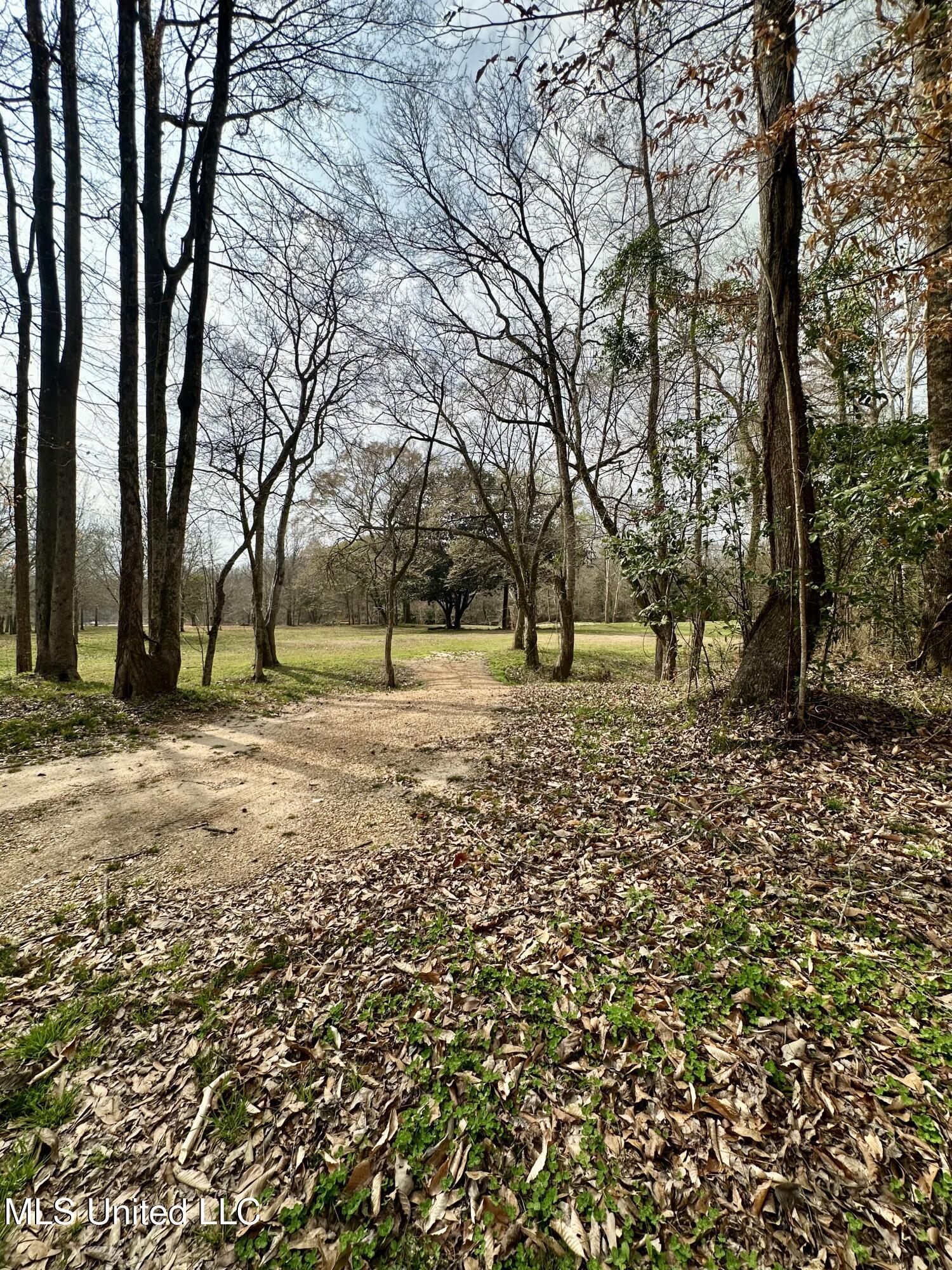 2062-2063 Lazy Creek Road Summit, MS 39666 - Photo 30 of 61 IMG_4670