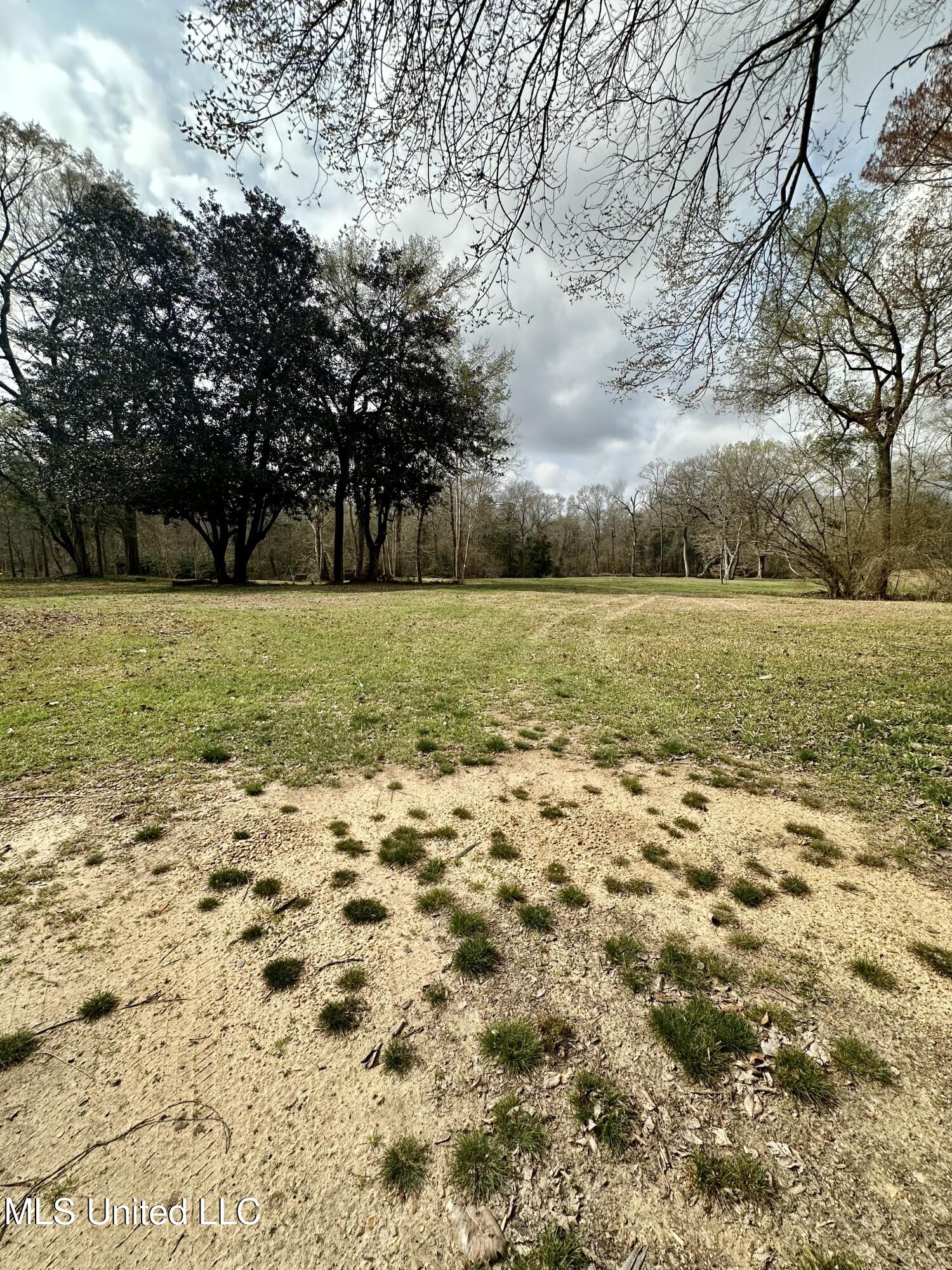 2062-2063 Lazy Creek Road Summit, MS 39666 - Photo 35 of 61 IMG_4671