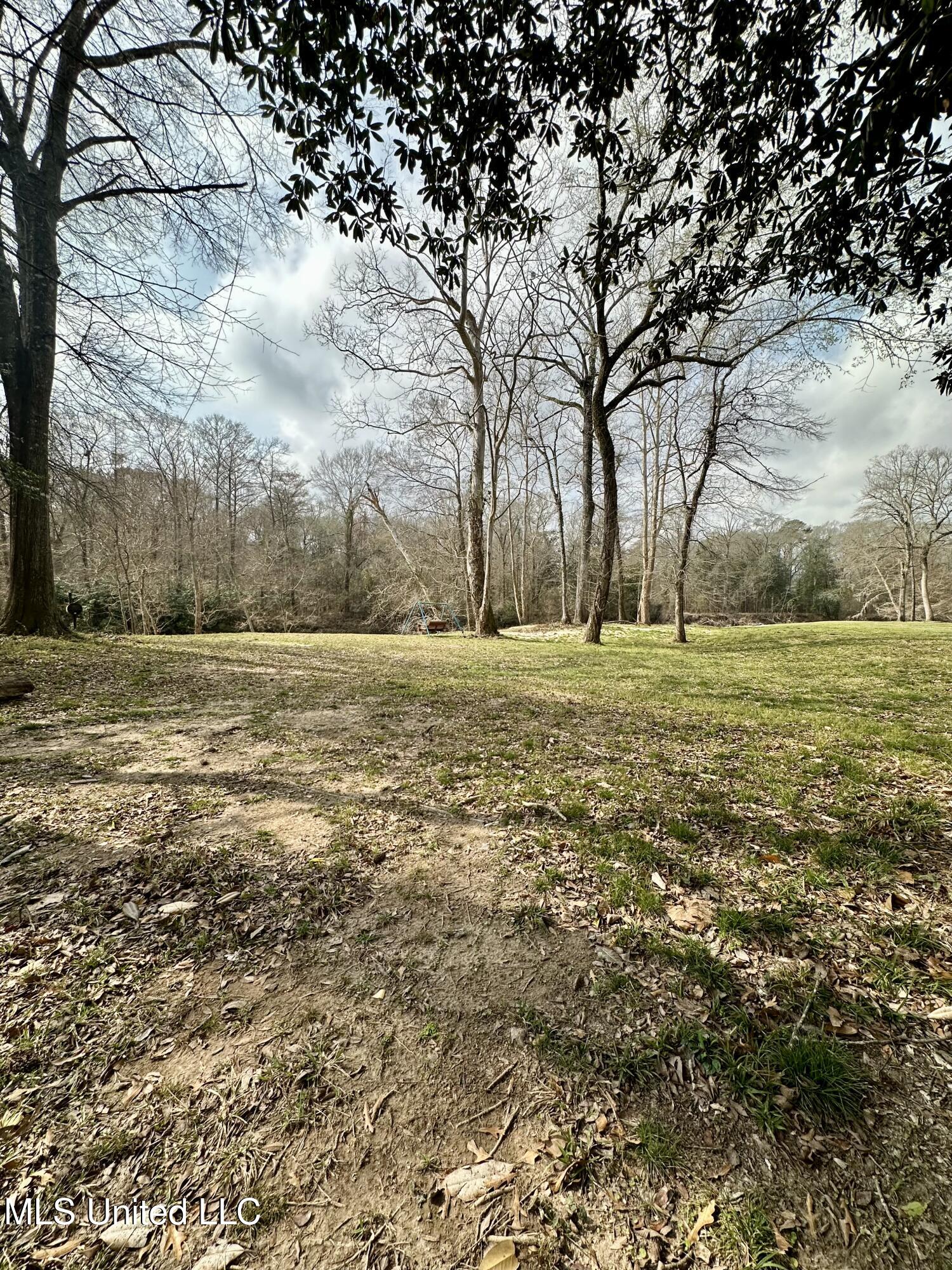 2062-2063 Lazy Creek Road Summit, MS 39666 - Photo 36 of 61 IMG_4673