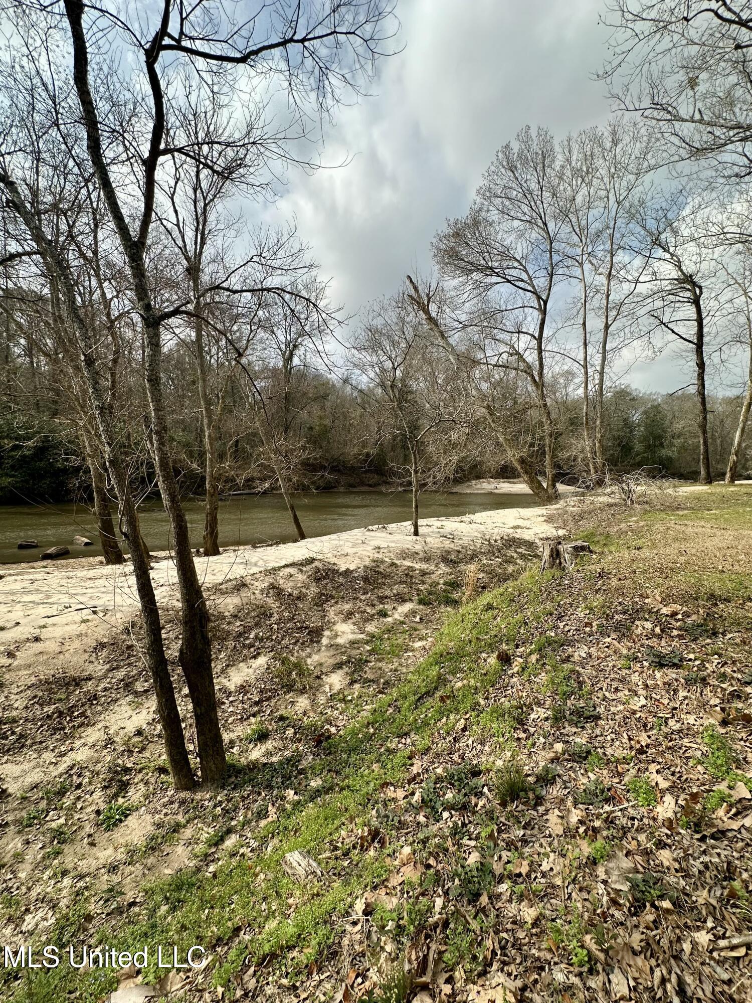 2062-2063 Lazy Creek Road Summit, MS 39666 - Photo 37 of 61 IMG_4674