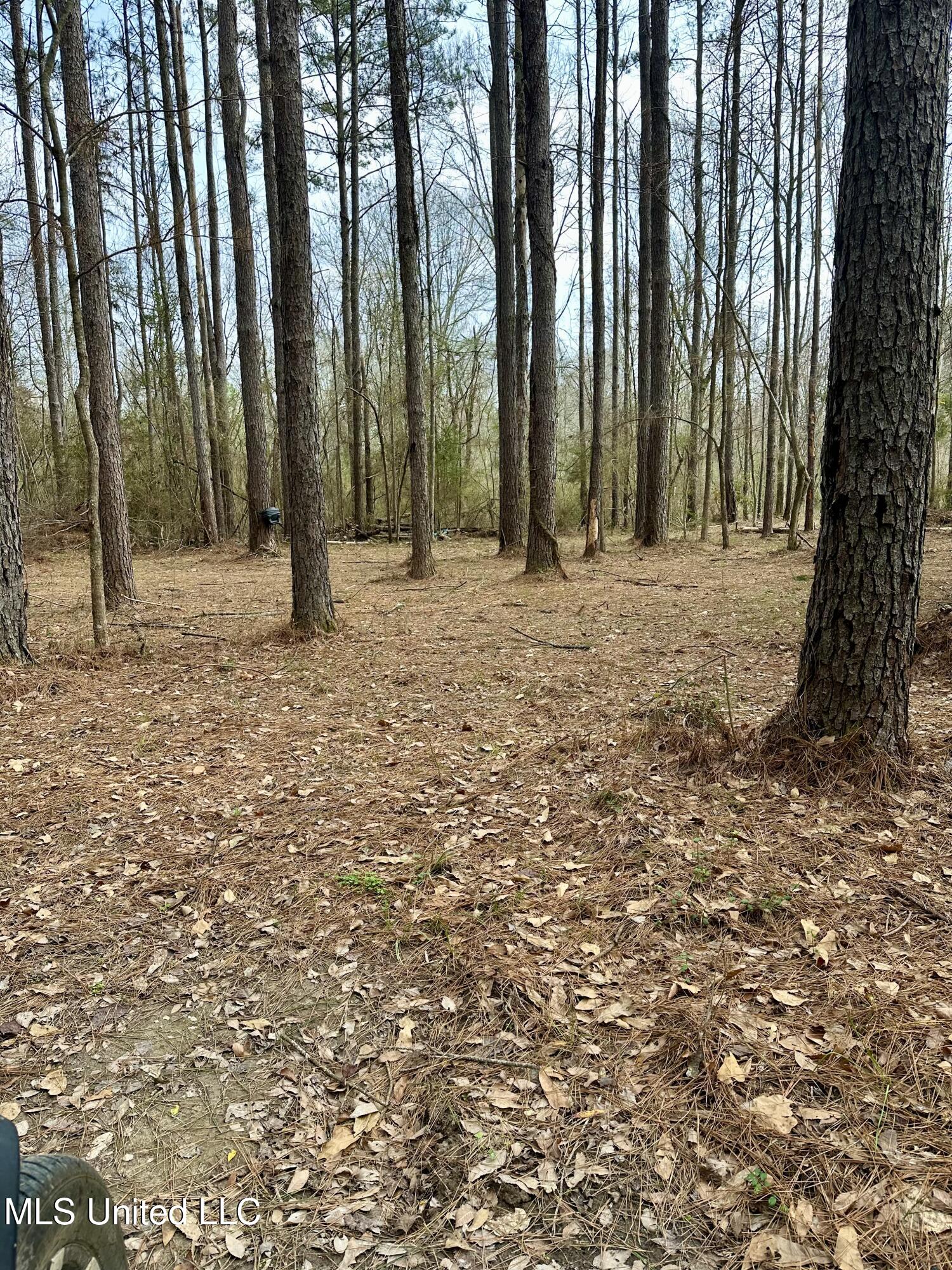 2062-2063 Lazy Creek Road Summit, MS 39666 - Photo 42 of 61 IMG_4680