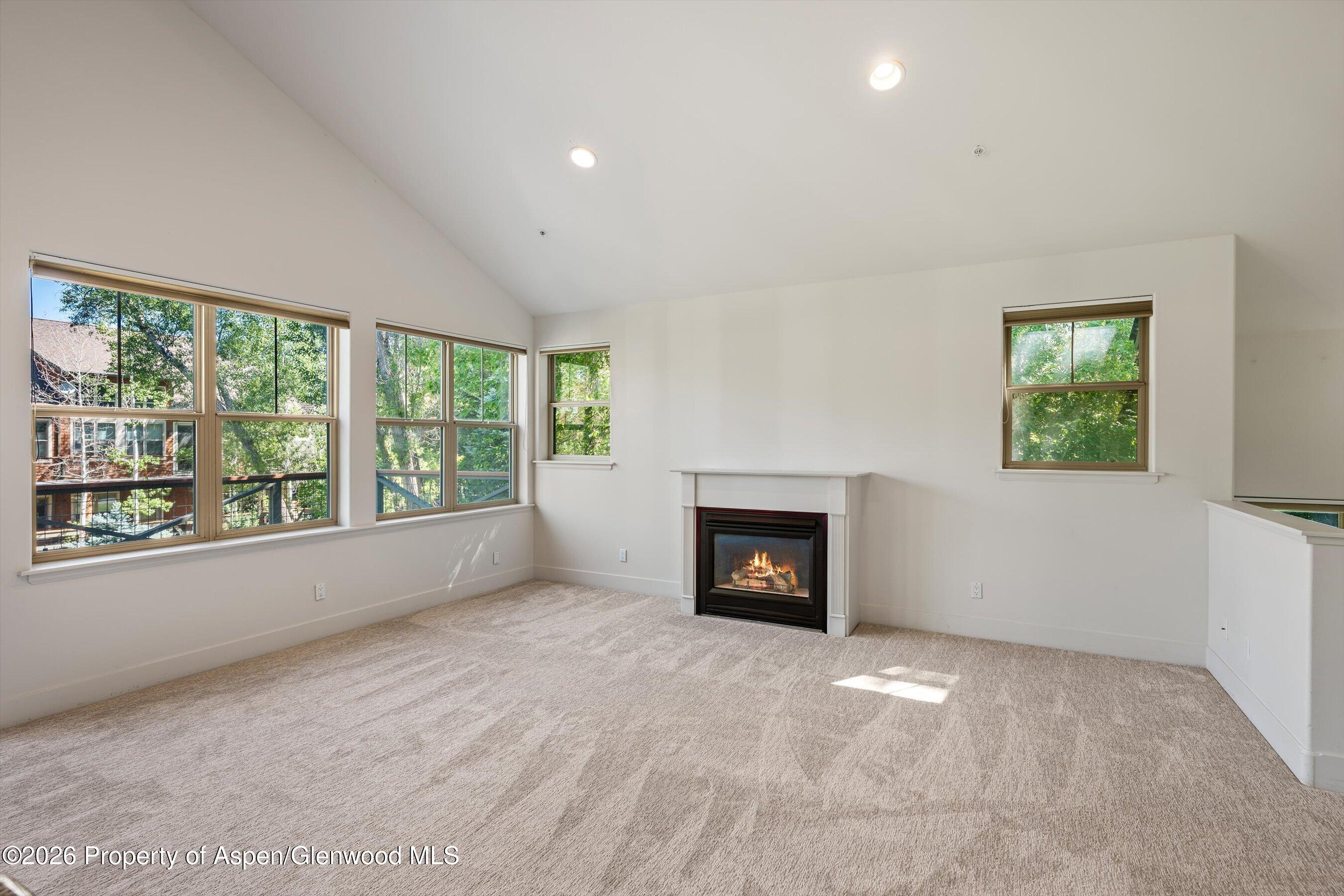 711 Evans Court Basalt, CO 81621 - Photo 7 of 31 19-711EvansCt_26061919
