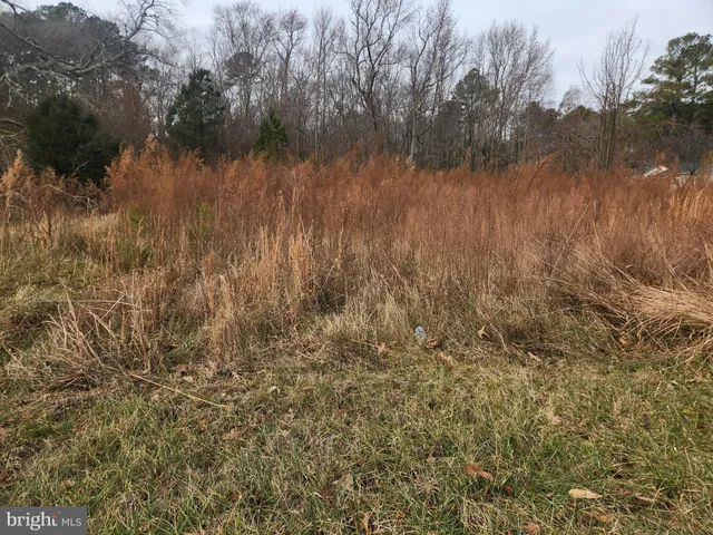 $60,000 | 22092 Royal Oak Road, Quantico, MD 21856