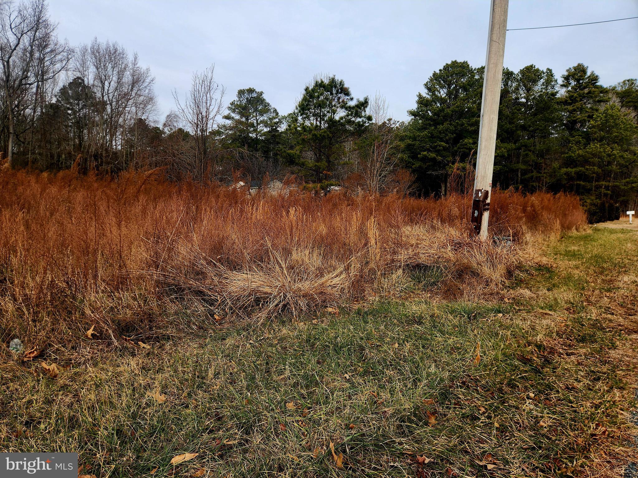 22092 Royal Oak Road Quantico, MD 21856 - Photo 2 of 3