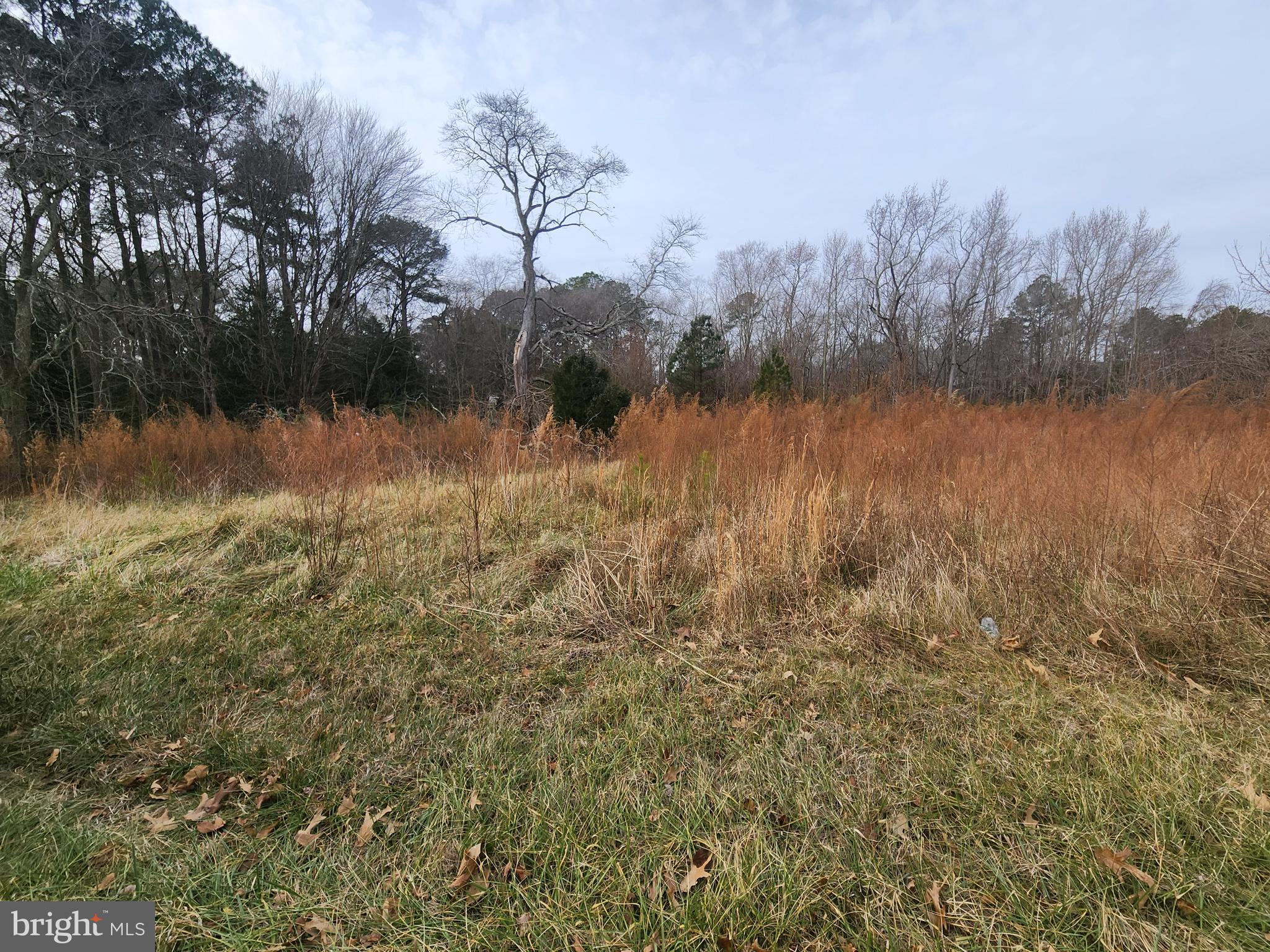 22092 Royal Oak Road Quantico, MD 21856 - Photo 3 of 3 a view of lake with green space